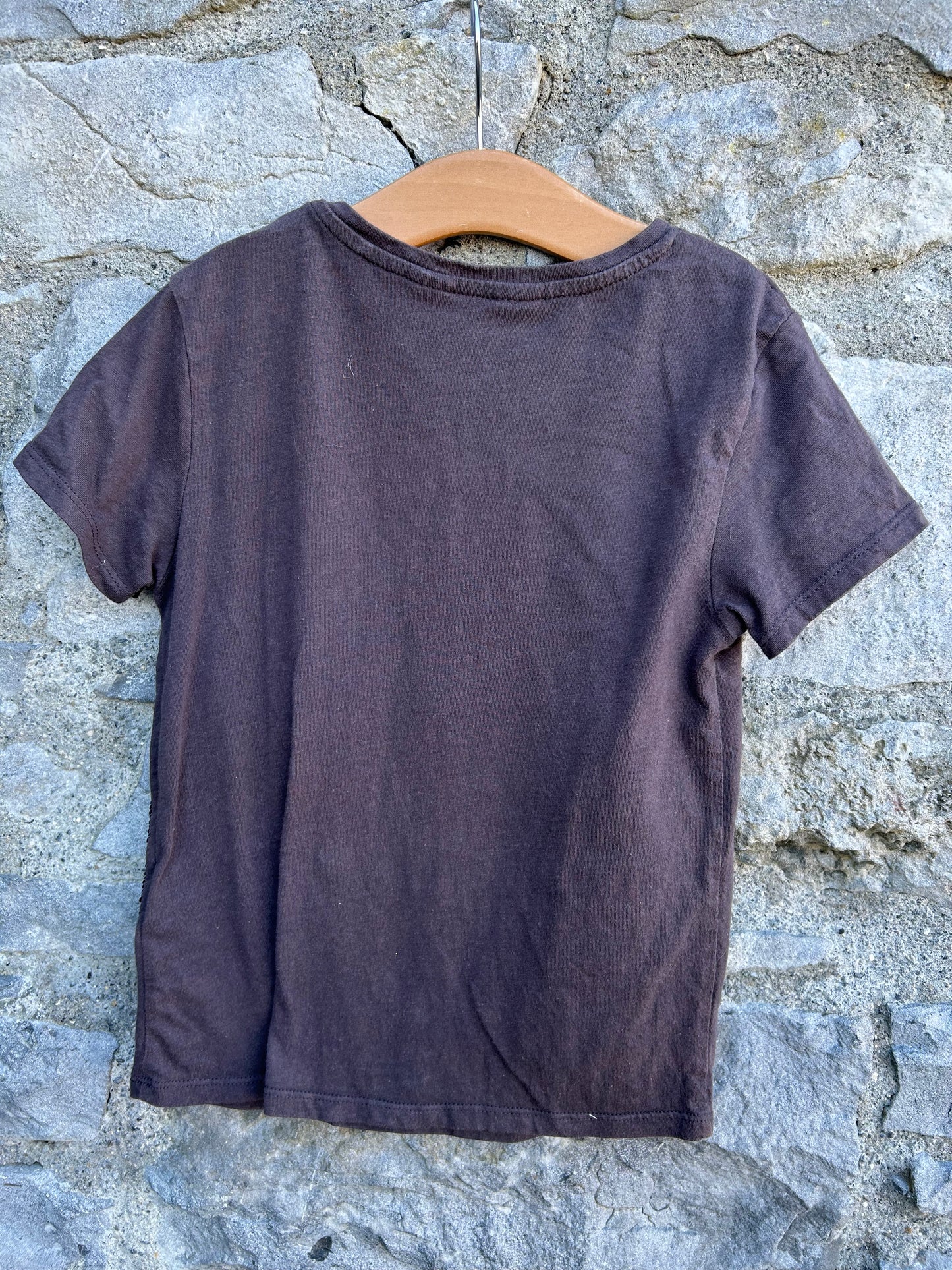 Sequin Chameleon brown T-shirt 6y (116cm)