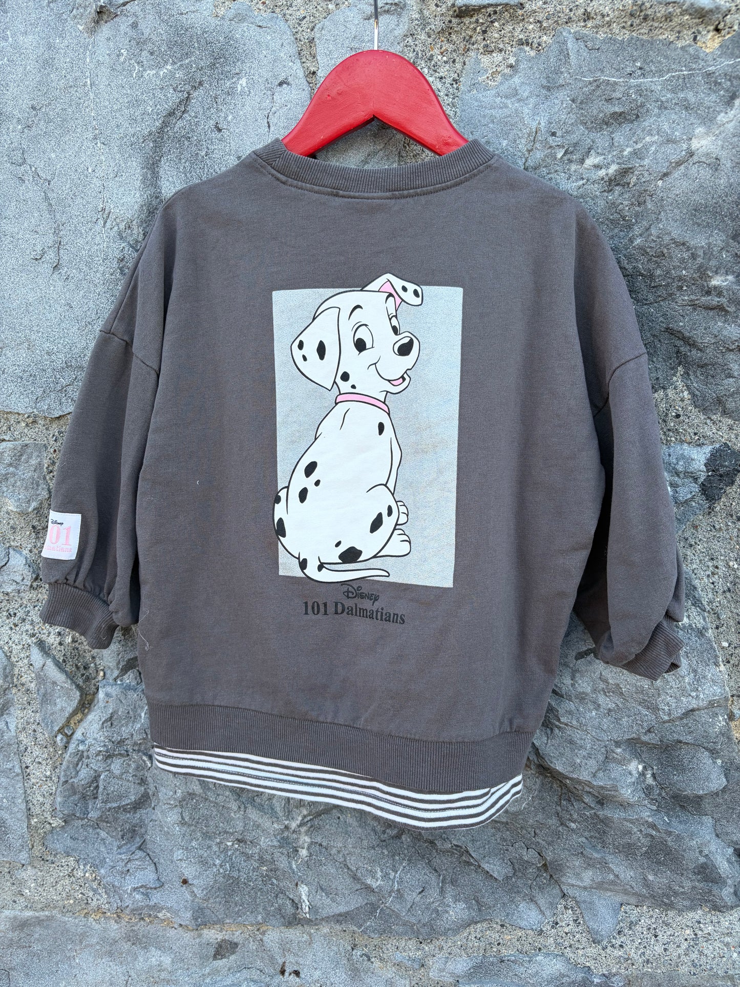 101 Dalmatians grey sweatshirt 3-4y (98-104cm)