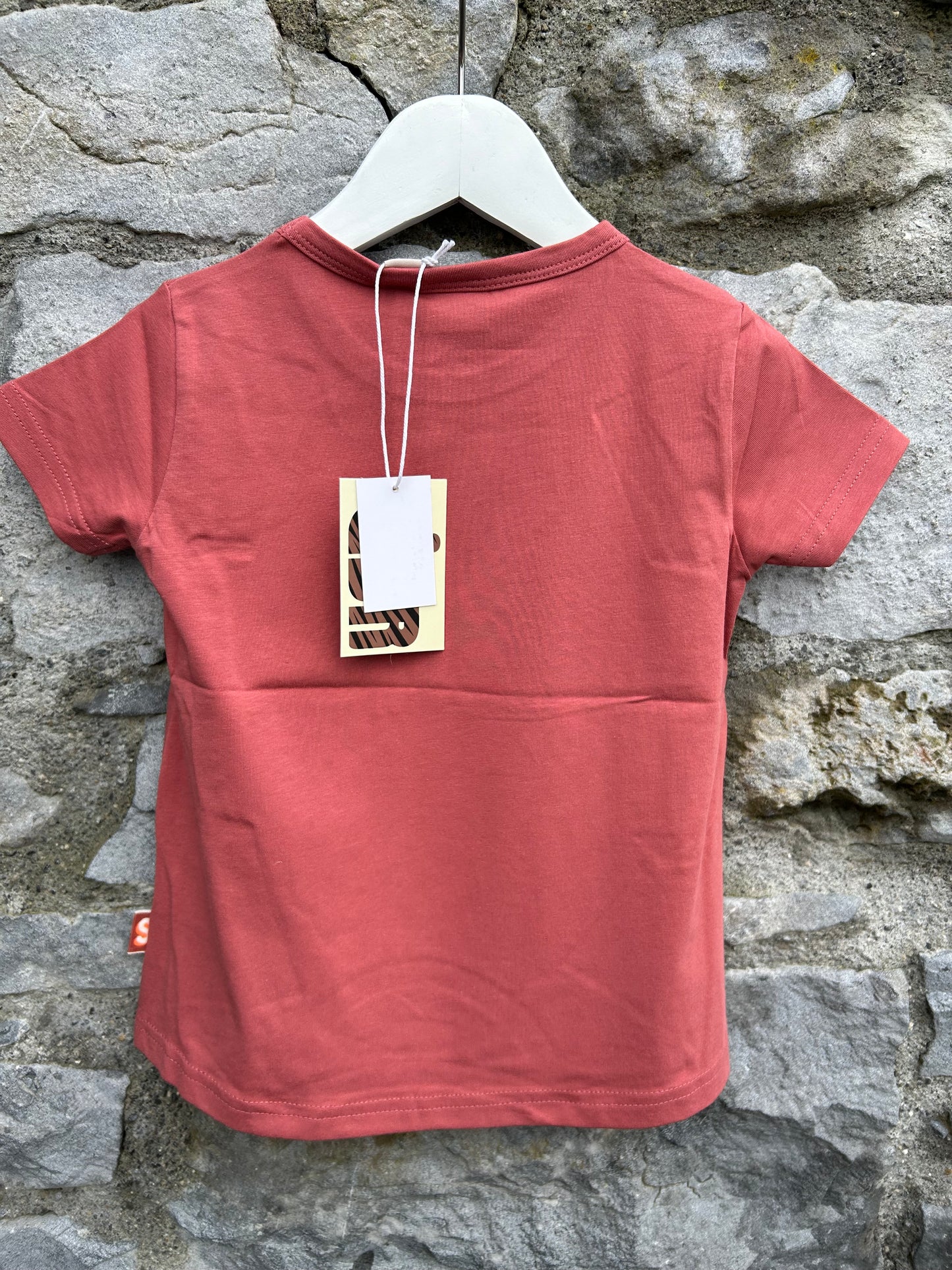 Glitter butterfly rusty T-shirt 3-4y (98-104cm)