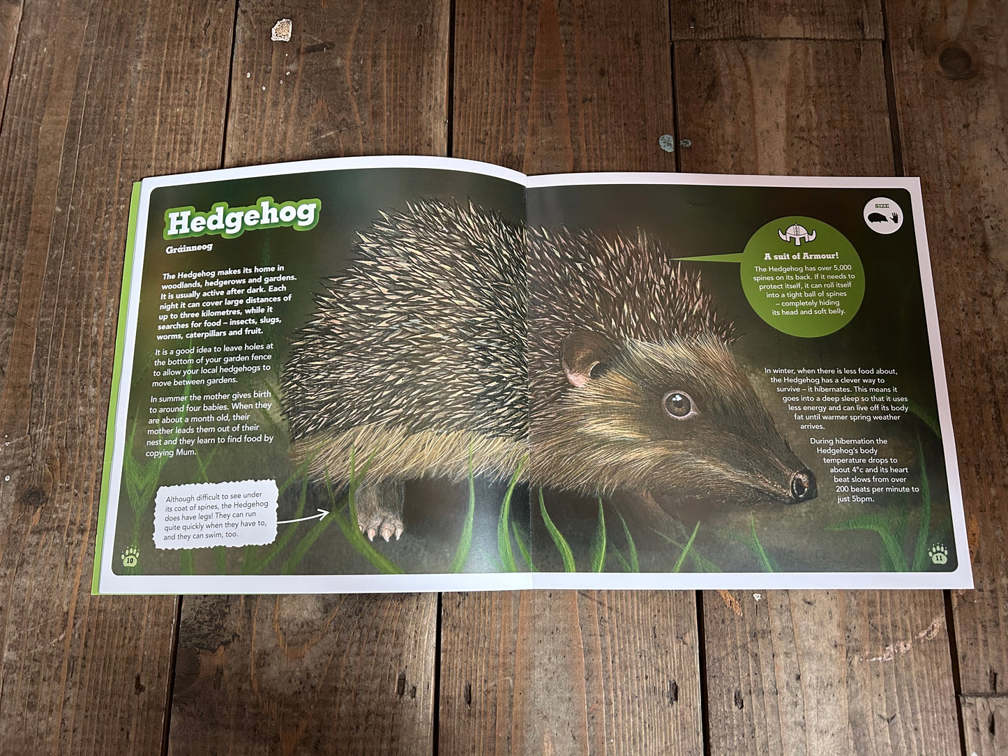 My first book of Irish animals