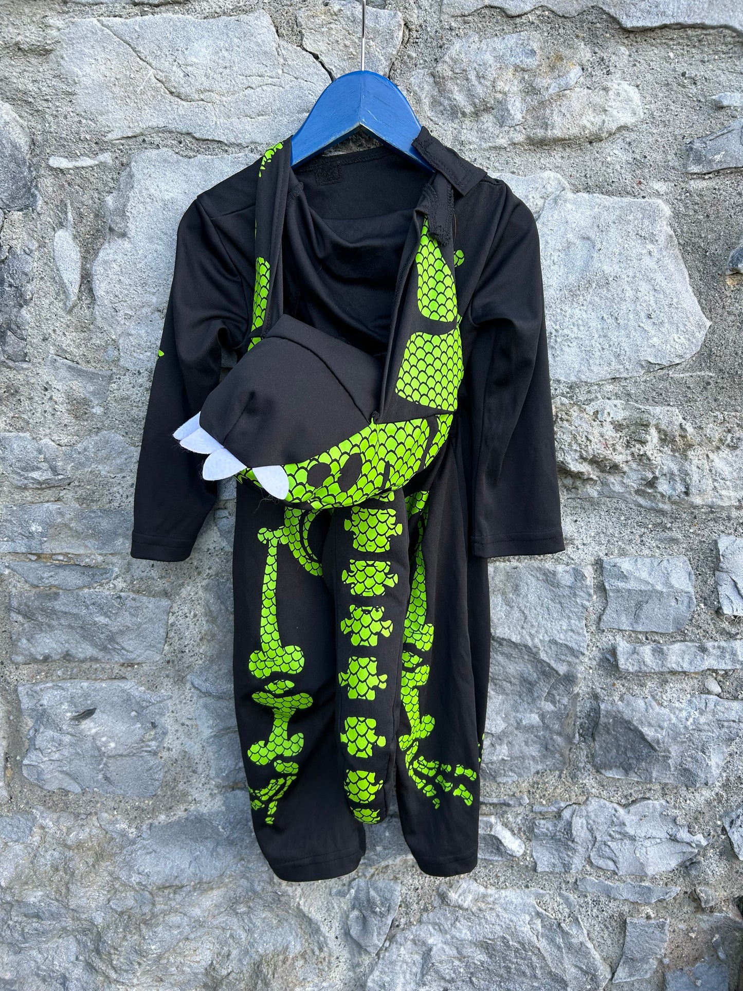 Skeleton lizard 18-24m (82-92cm)