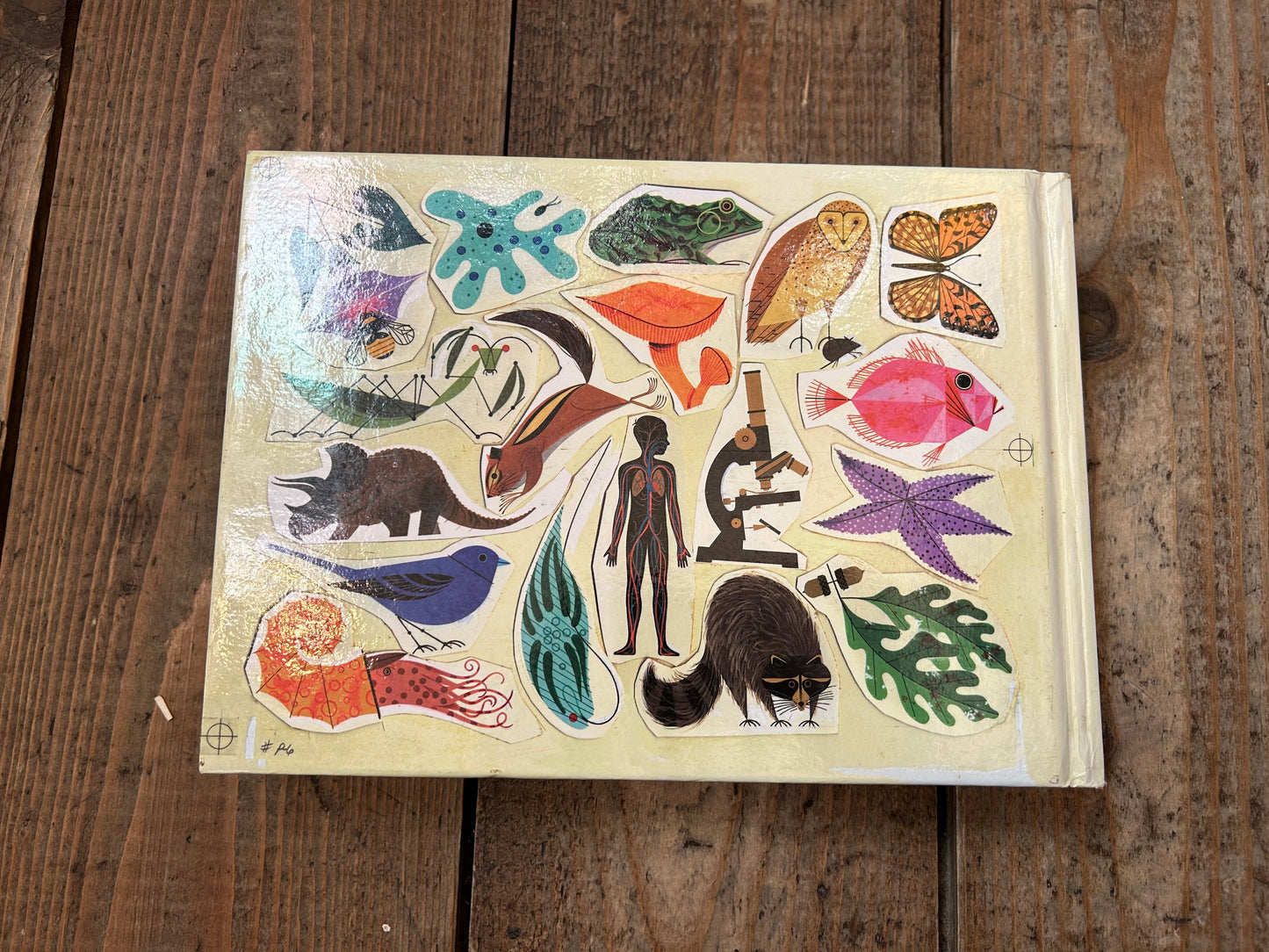Charley harper book an illustrated life
