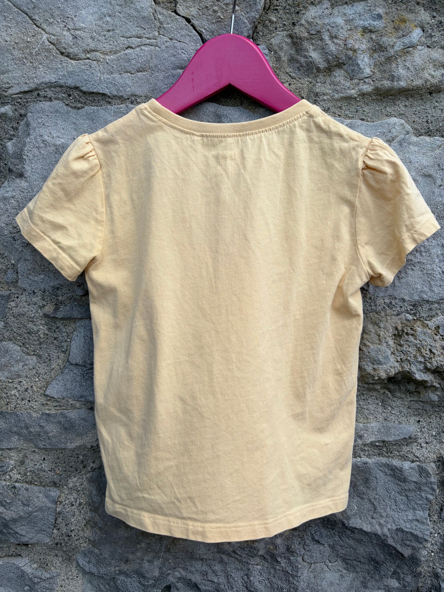 Beige fairy T-shirt 3-4y (98-104cm)