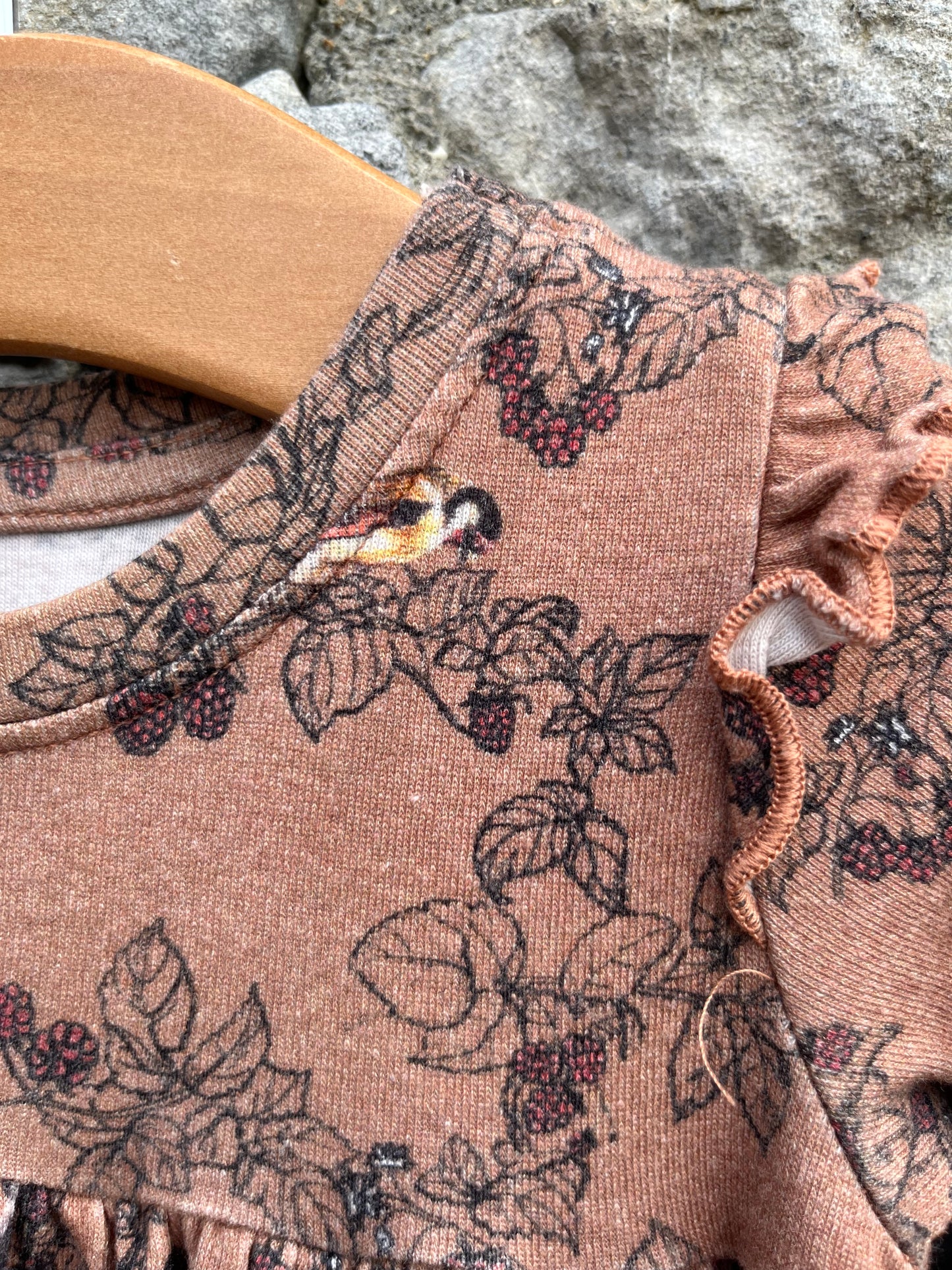 Brown birds&blackberries dress 6-9m (68-74cm)