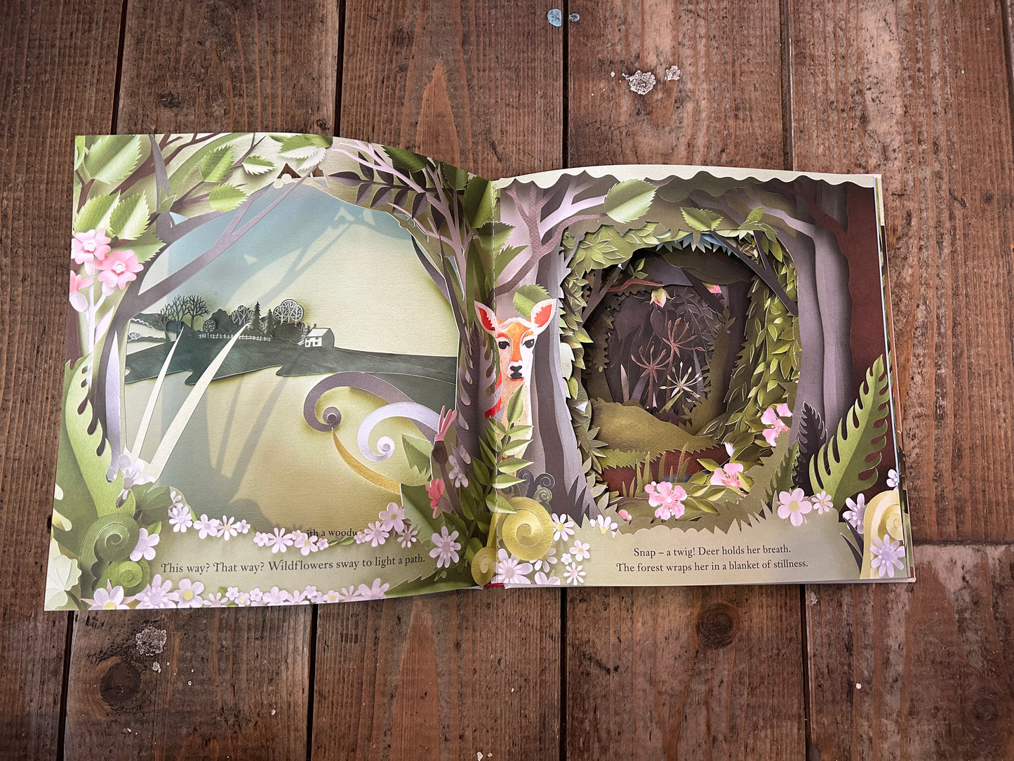 A walk through the woods by Louise Greig and Helen Musselwhite