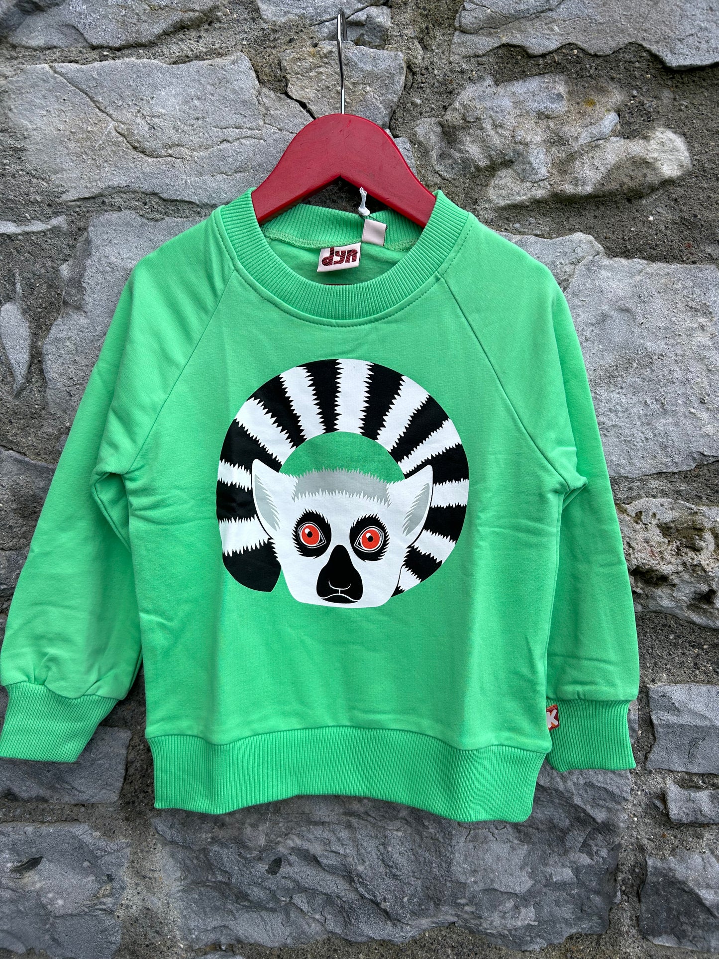 Lemur green sweatshirt 4y (104cm)