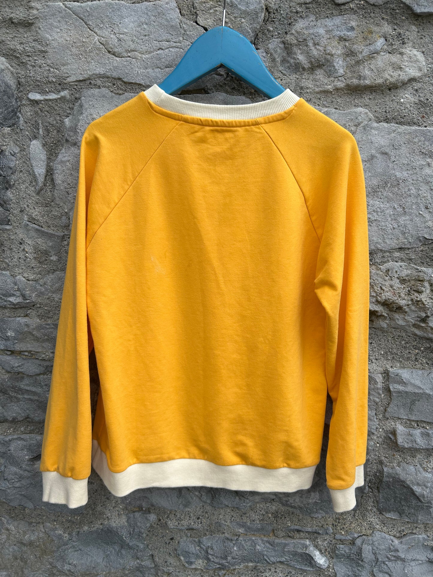 Citrus Joy is a Feeling sweatshirt 10y (140cm)