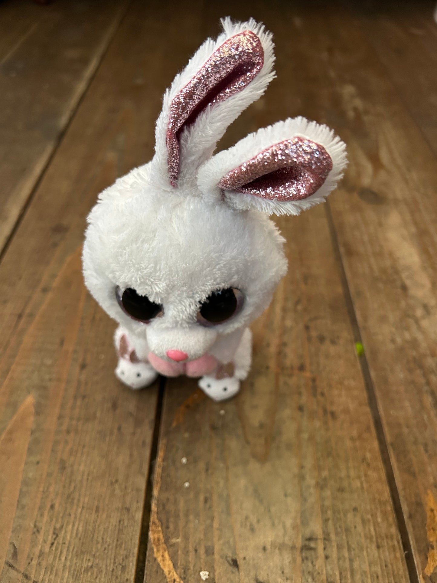 Bunny