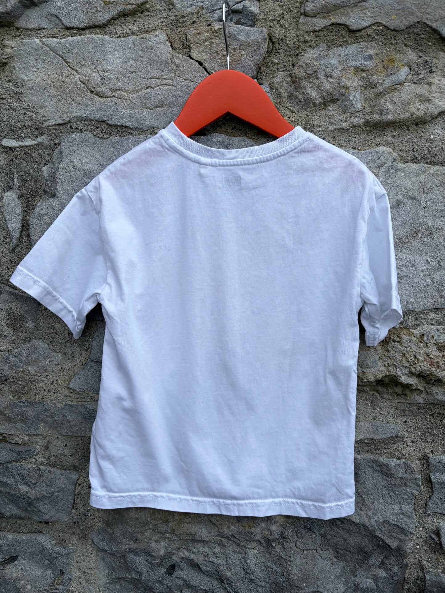 Lucky bear T-shirt 3-4y (98-104cm)