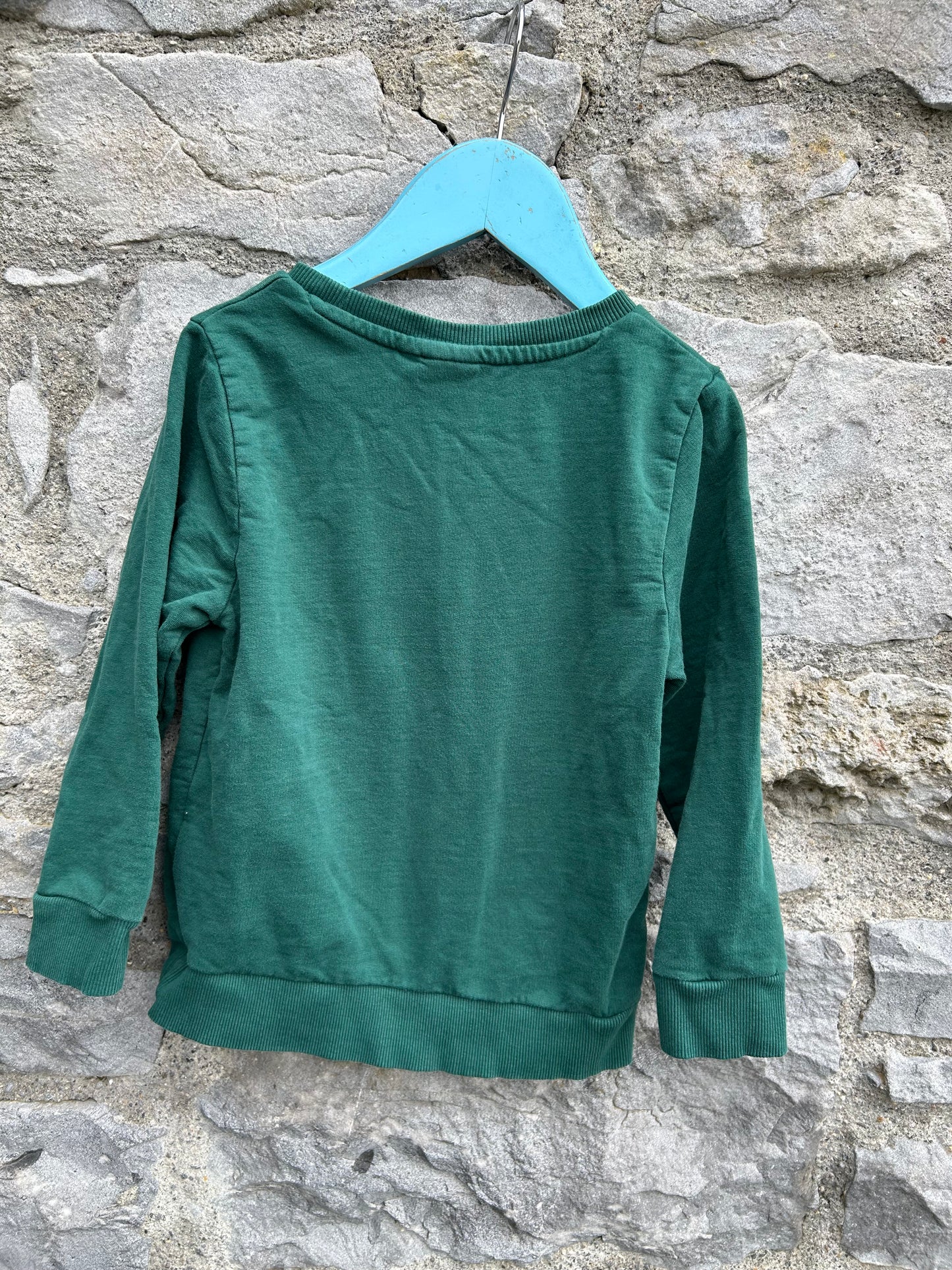Stay wild green sweatshirt 4-5y (104-110cm)