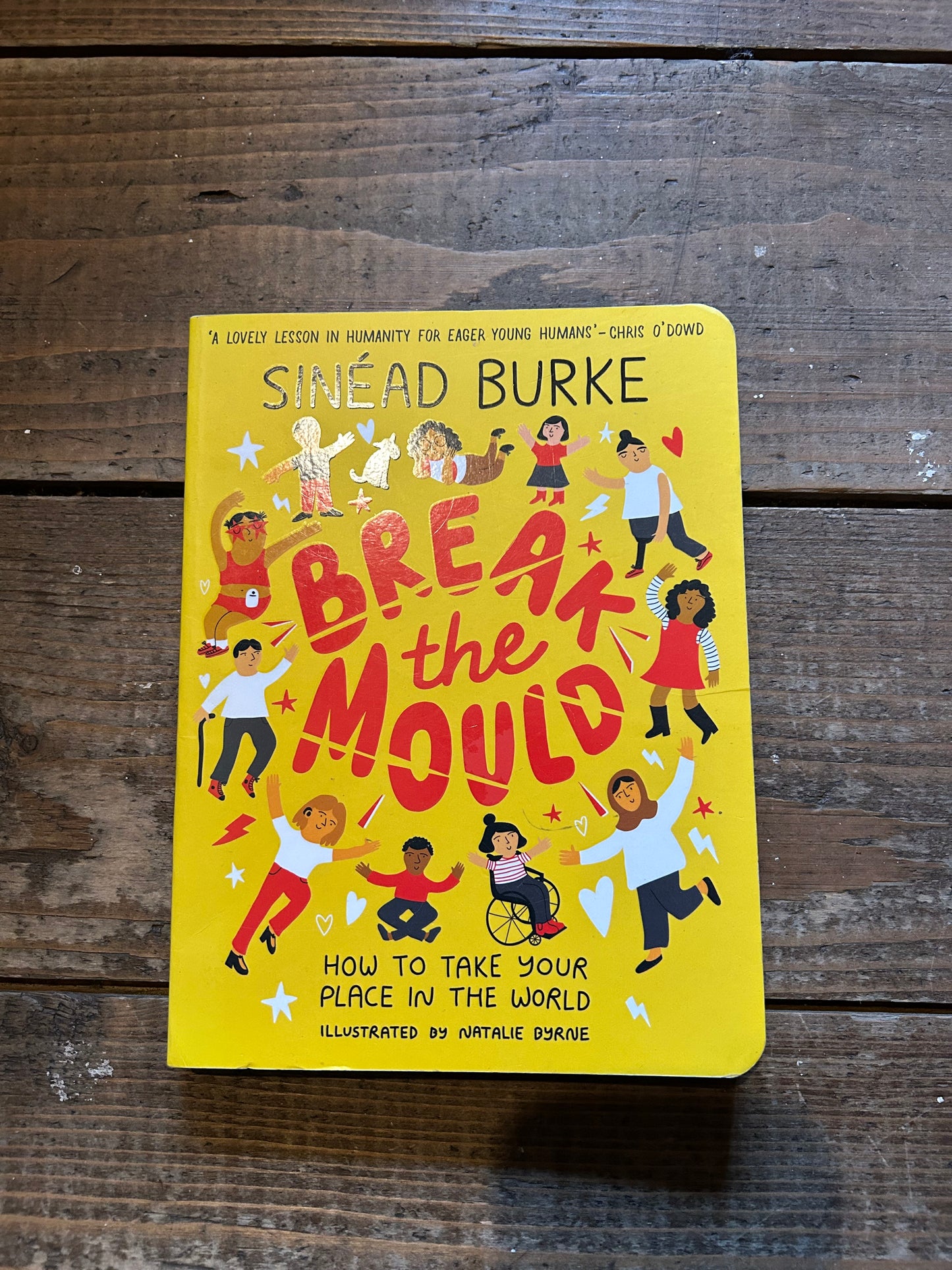 Break the mould by Sinead Burke