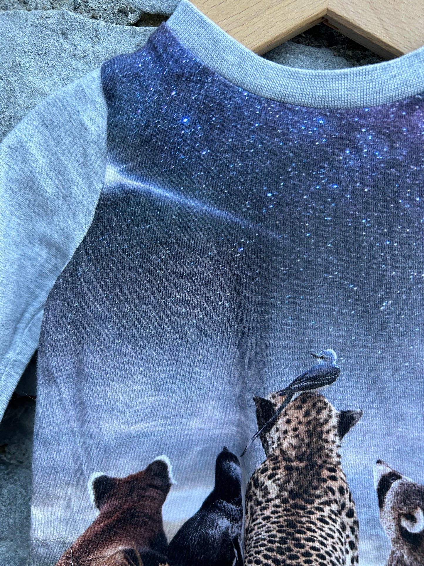 Shooting star grey top 3m (62cm)