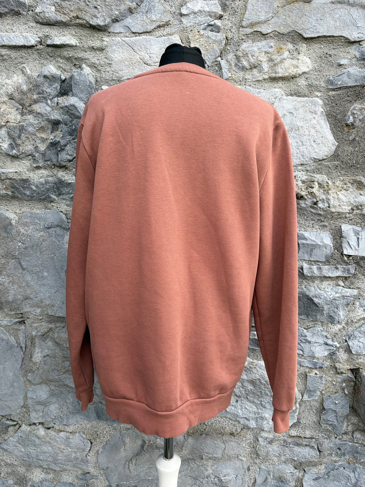Brown sweatshirt Medium