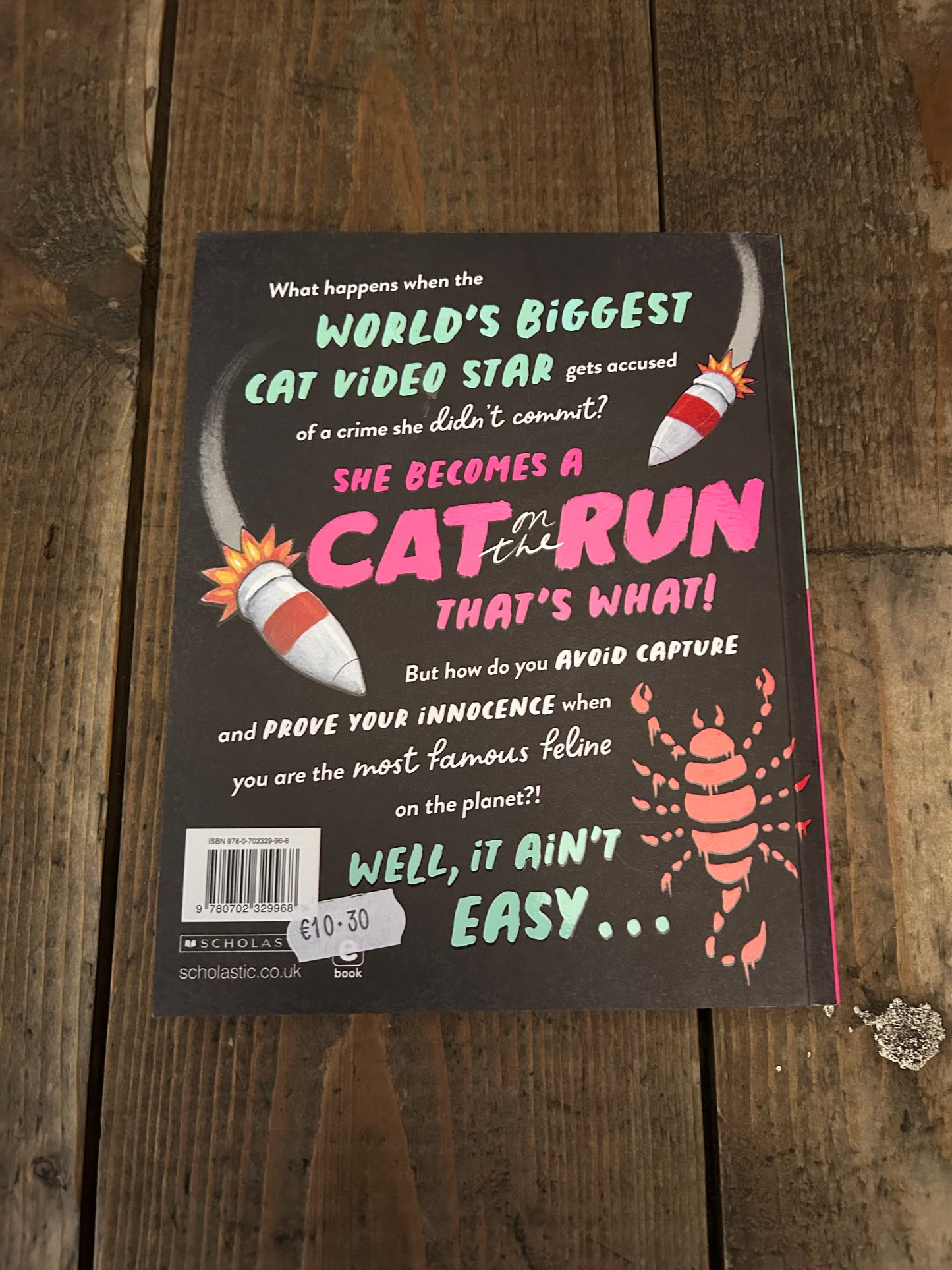 Cat on the run by Aaron Blabey