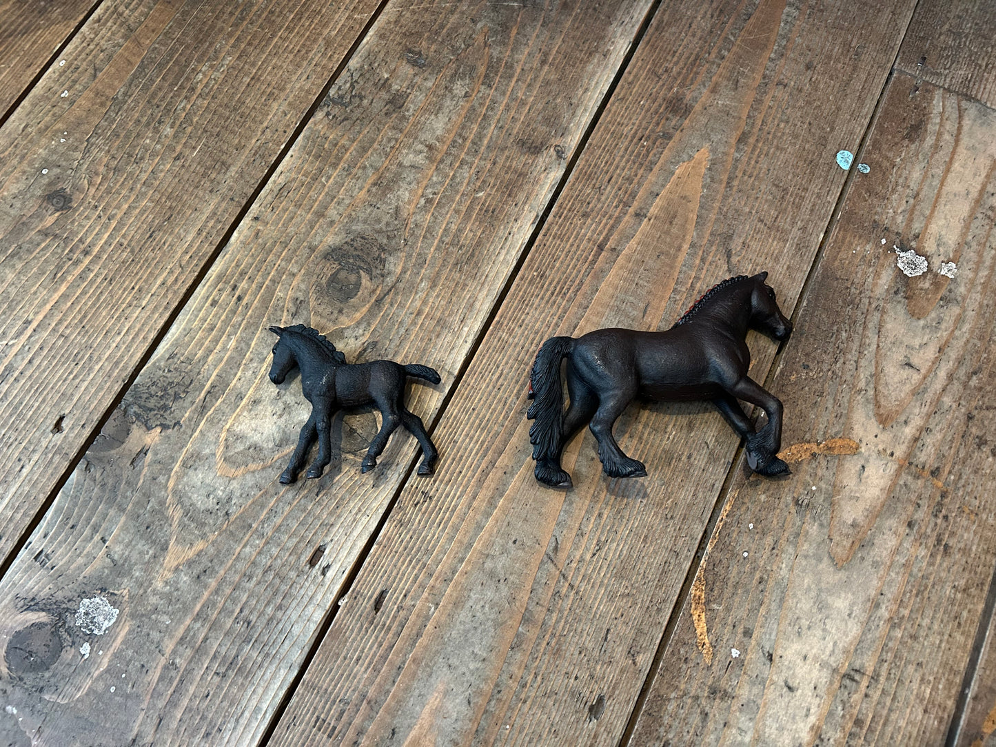 Black horses