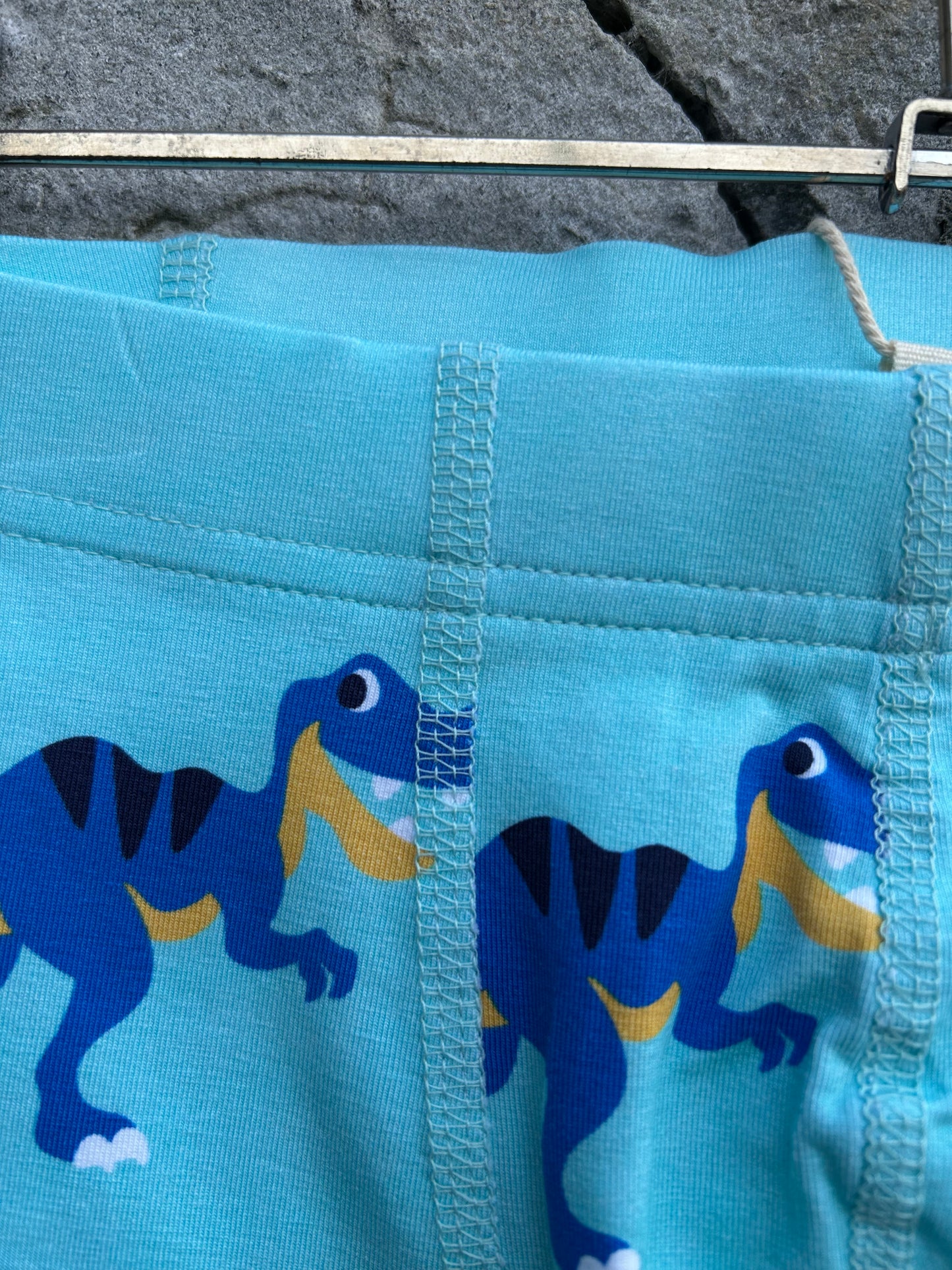 Dinosaurs blue boxers 5-6y (110-116cm)