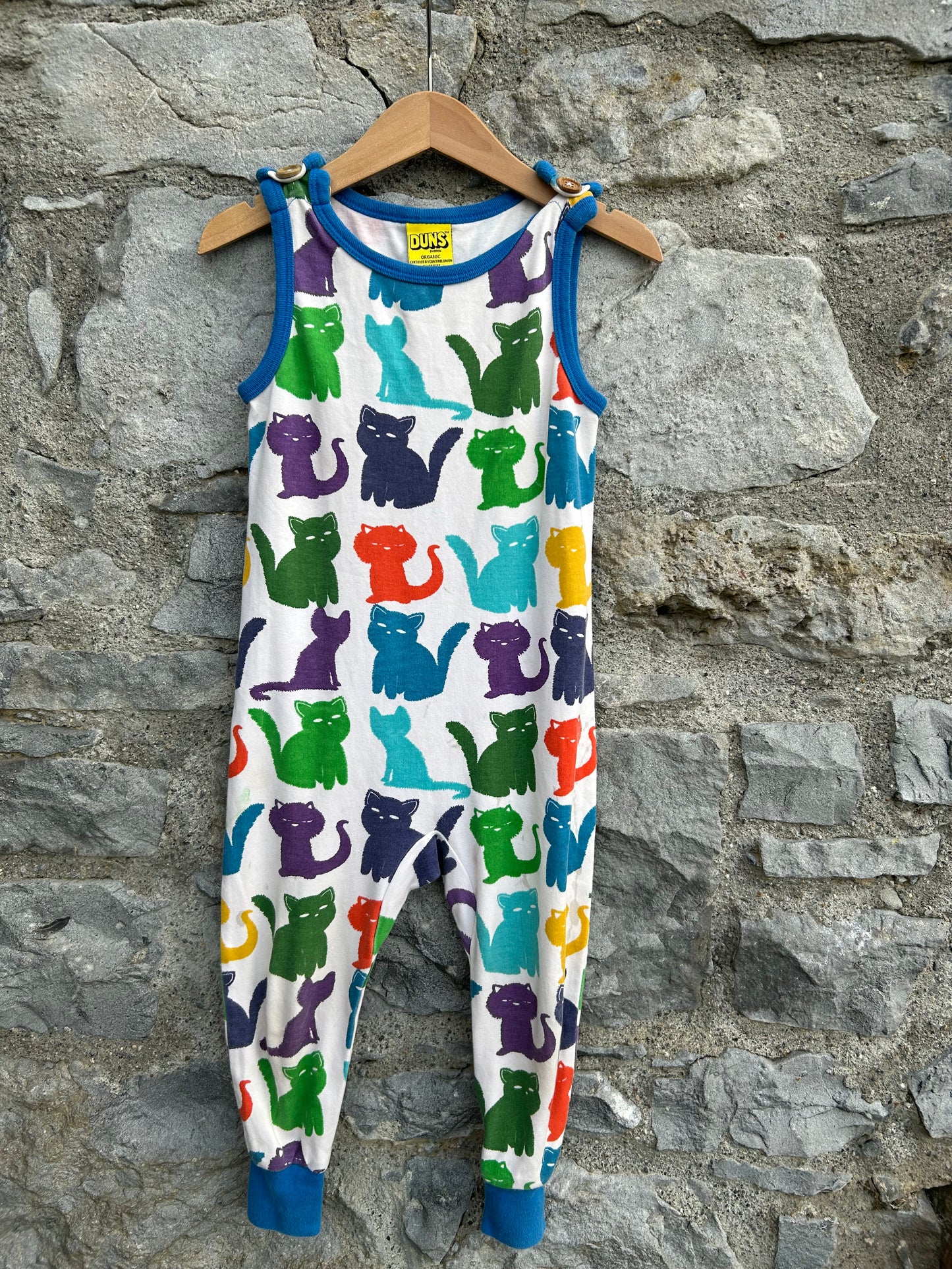 Colourful cats dungarees 2y (92cm)