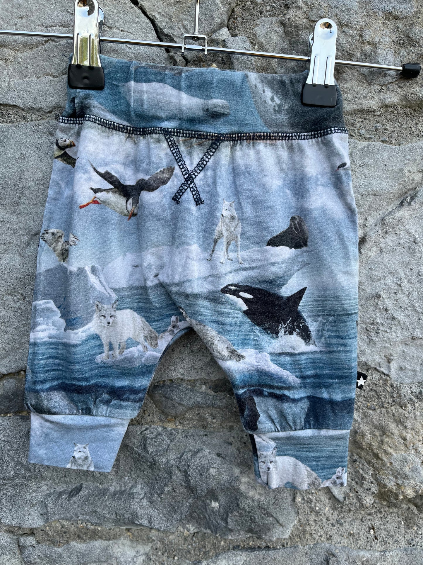 Arctic animals pants 0-1m (50-56cm)