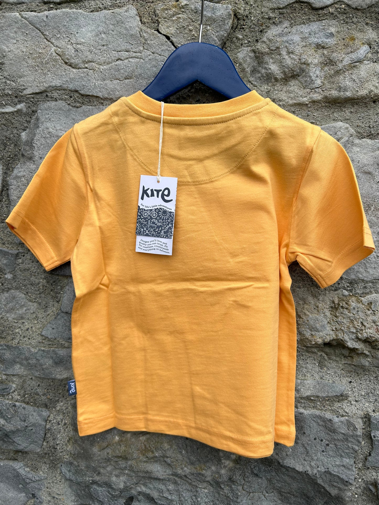 Dinosaurs yellows T-shirt 4y (104cm)