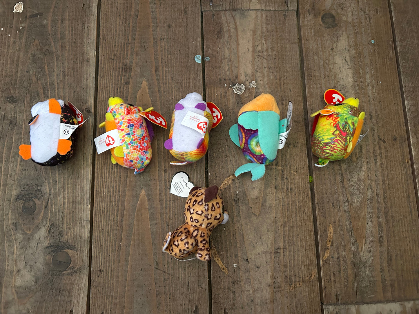 6 tiny ty soft toys animals