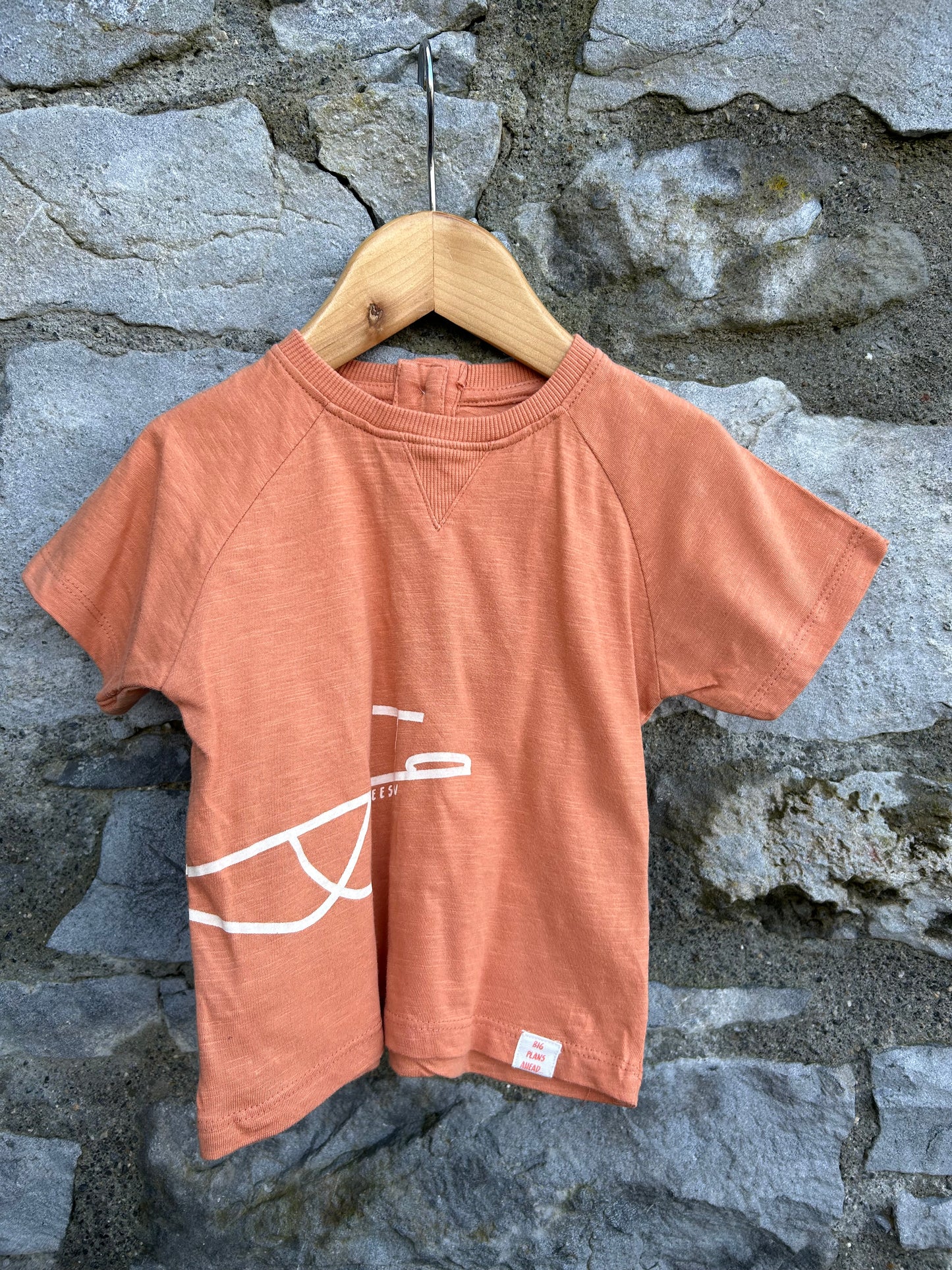Seasaw T-shirt 9-12m (74-80cm)