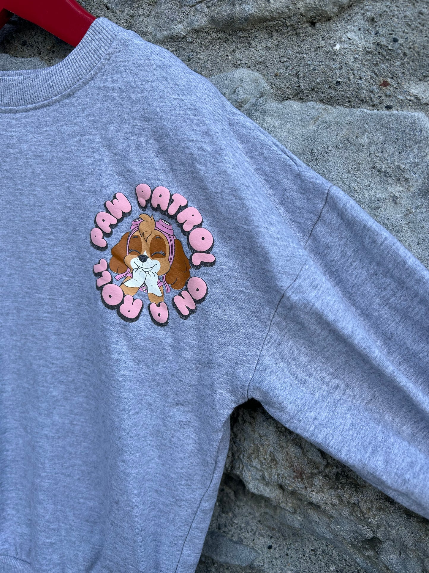 Paw Patrol grey sweatshirt 2-3y (92-98cm)
