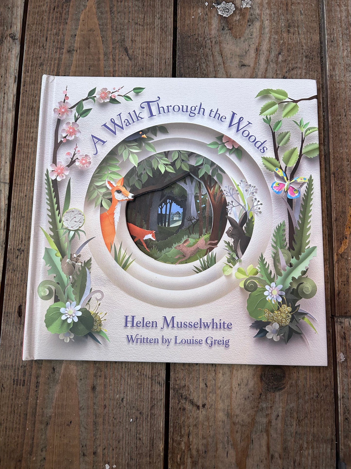 A walk through the woods by Louise Greig and Helen Musselwhite