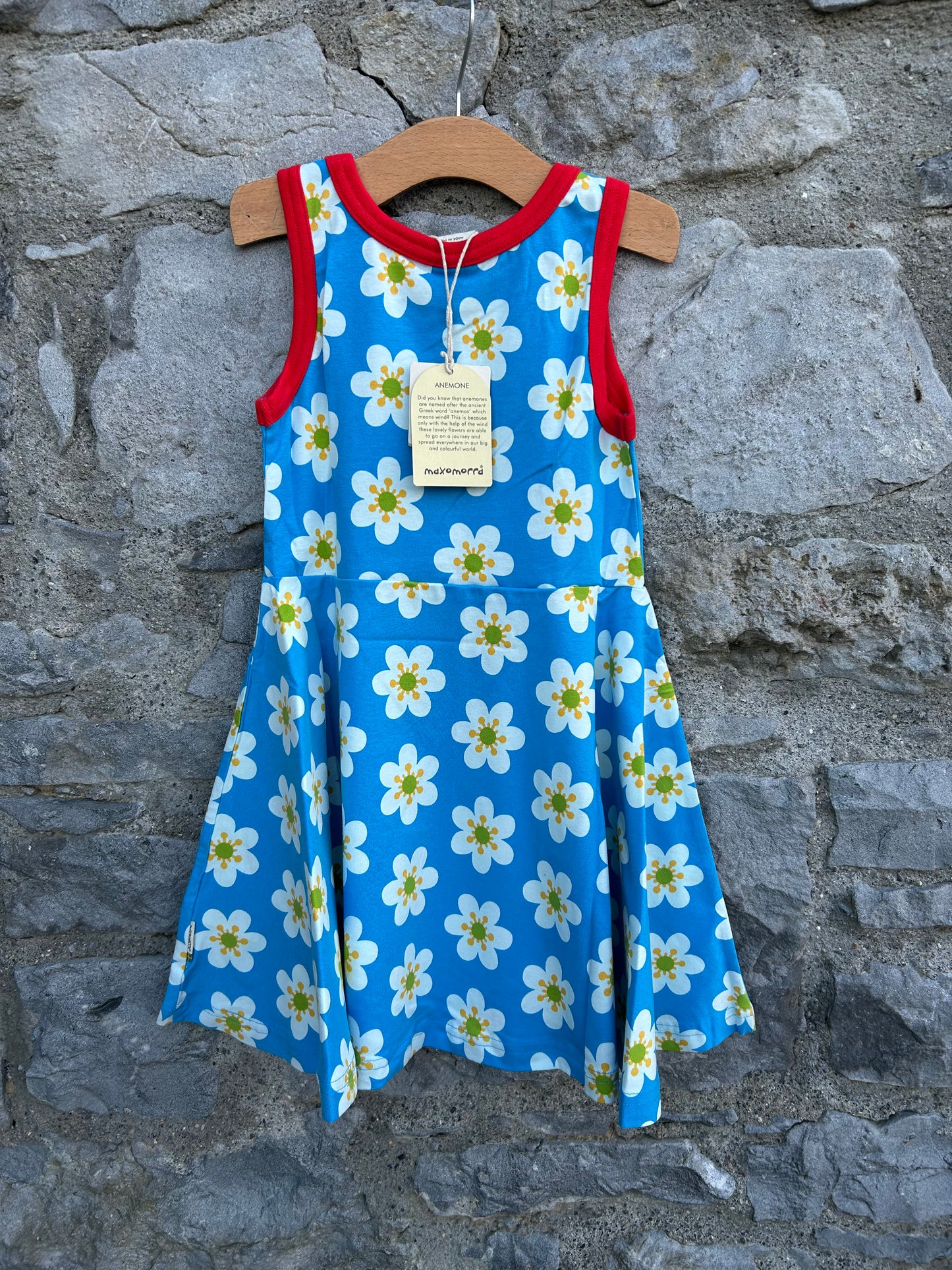Blue anemone skater dress 3-4y (98-104cm)