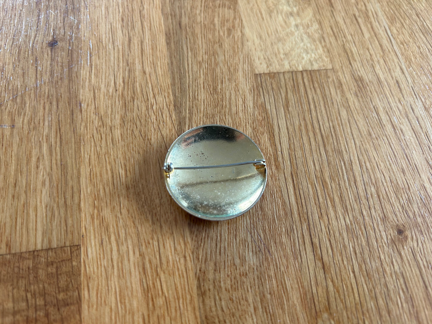 Zodiac circle brooch