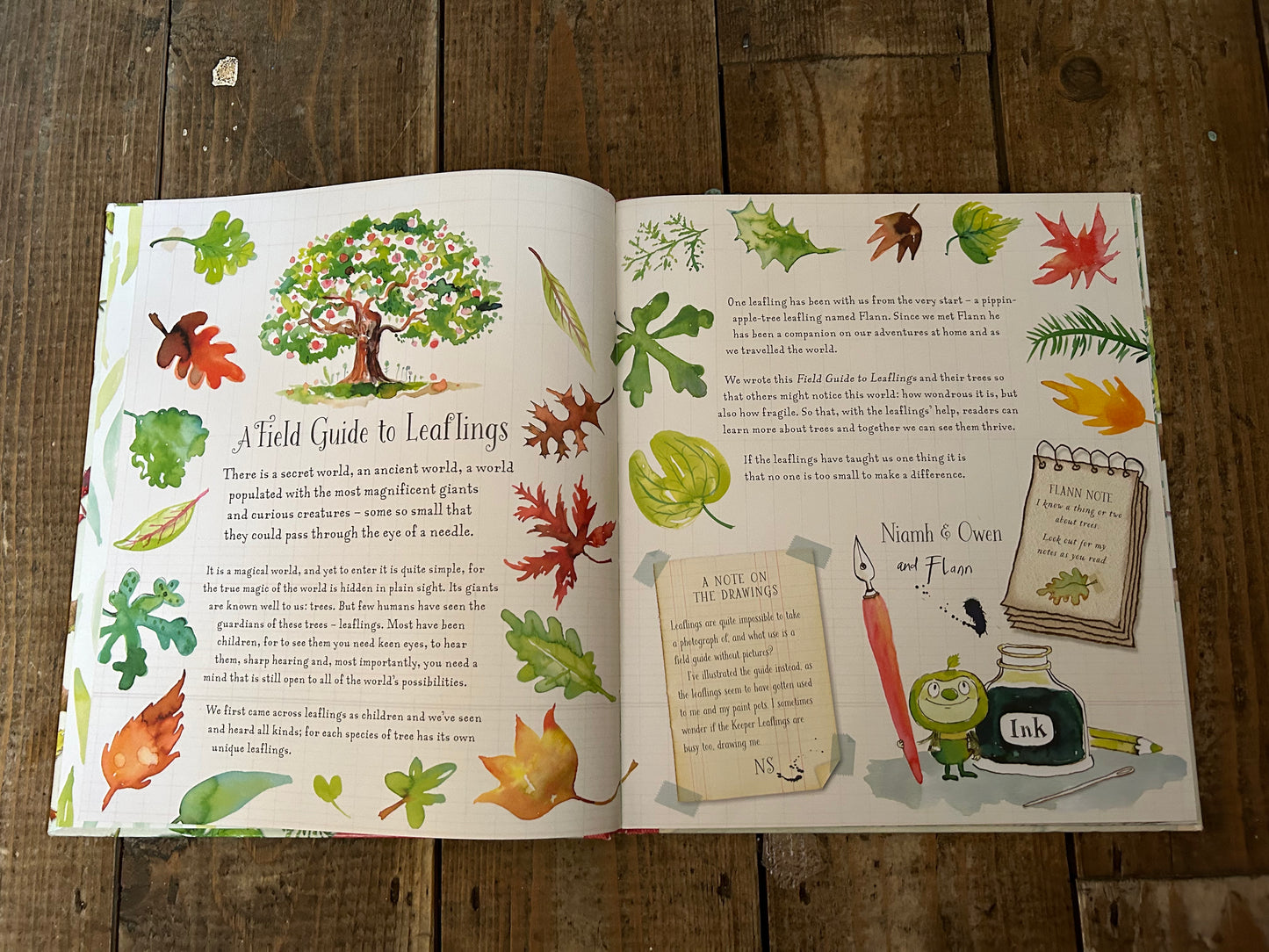 A field guide to Leaflings by Owen Churcher