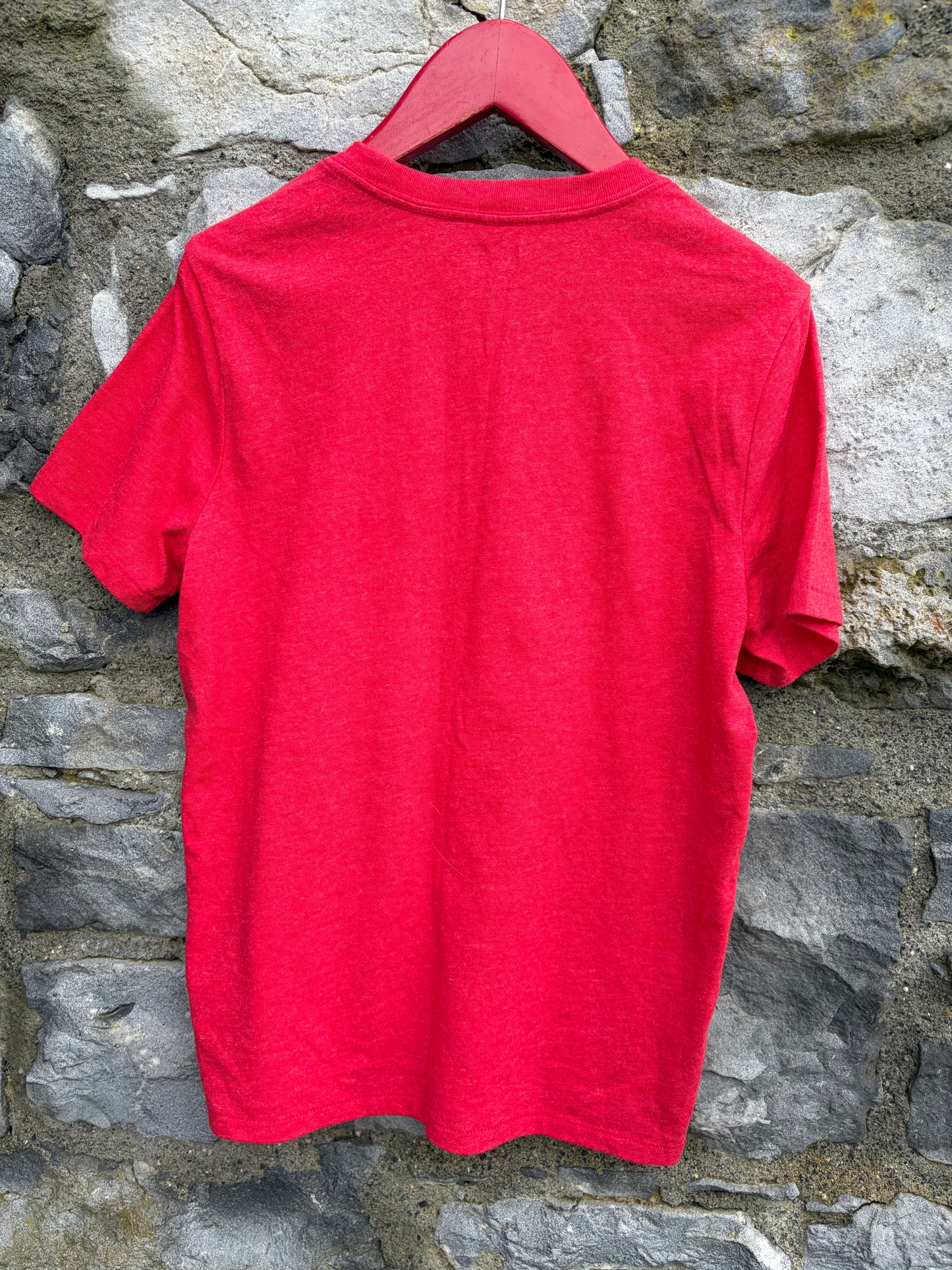 Flash red t-shirt 10y (140cm)