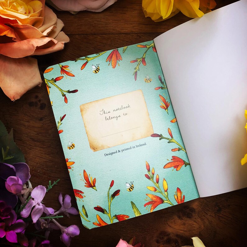 Butterfly pocket notebooks