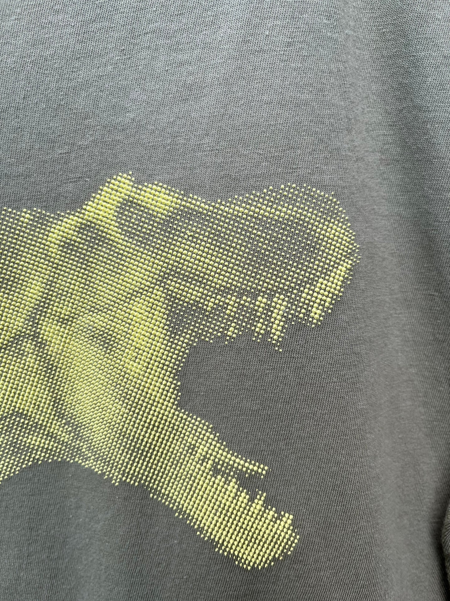 Khaki T-rex T-shirt 12-13y (152-158cm)