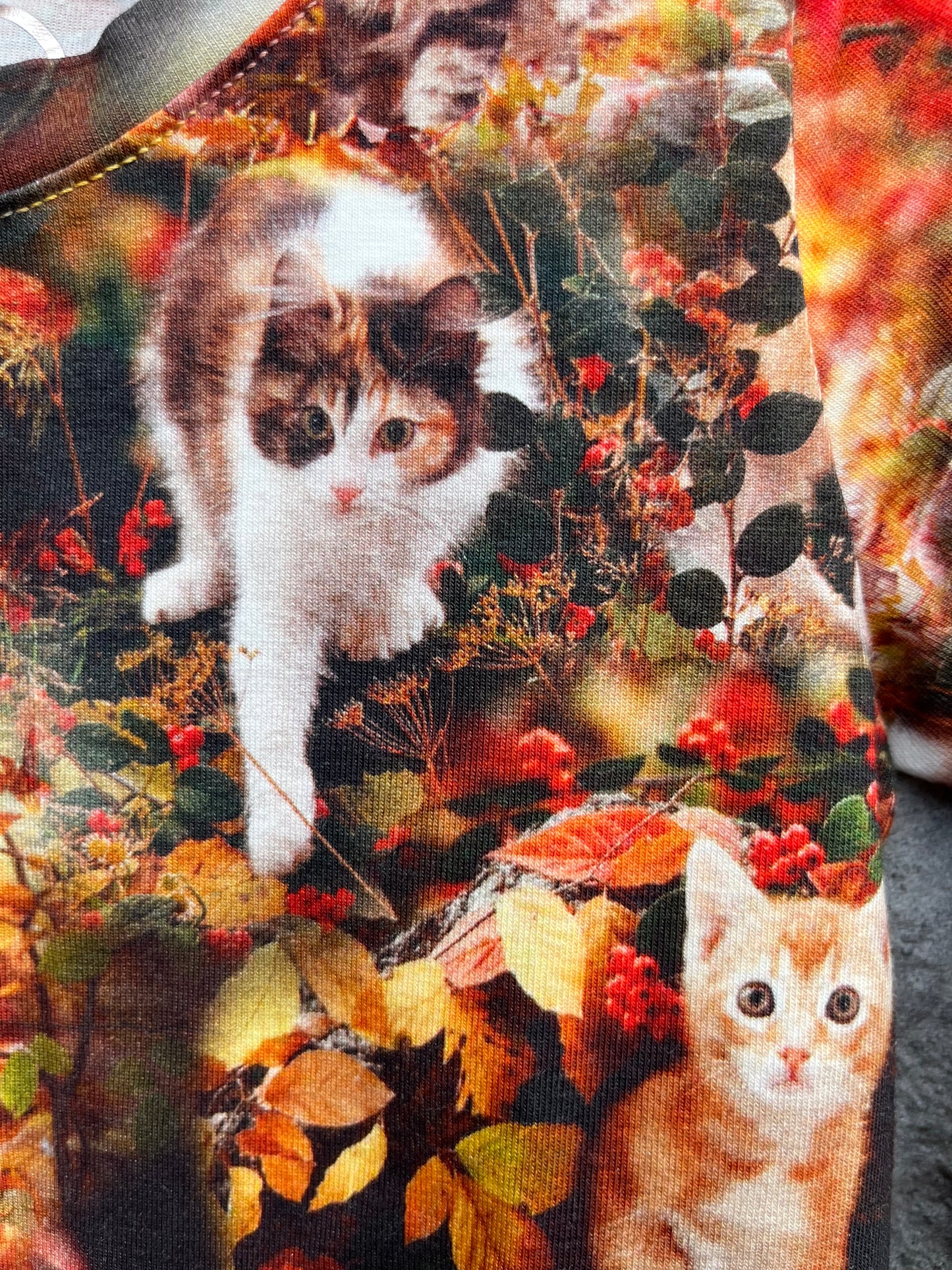 Autumn cats tunic 18m (86cm)