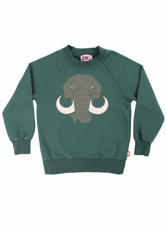 Mammoth green sweatshirt  4y (104cm)