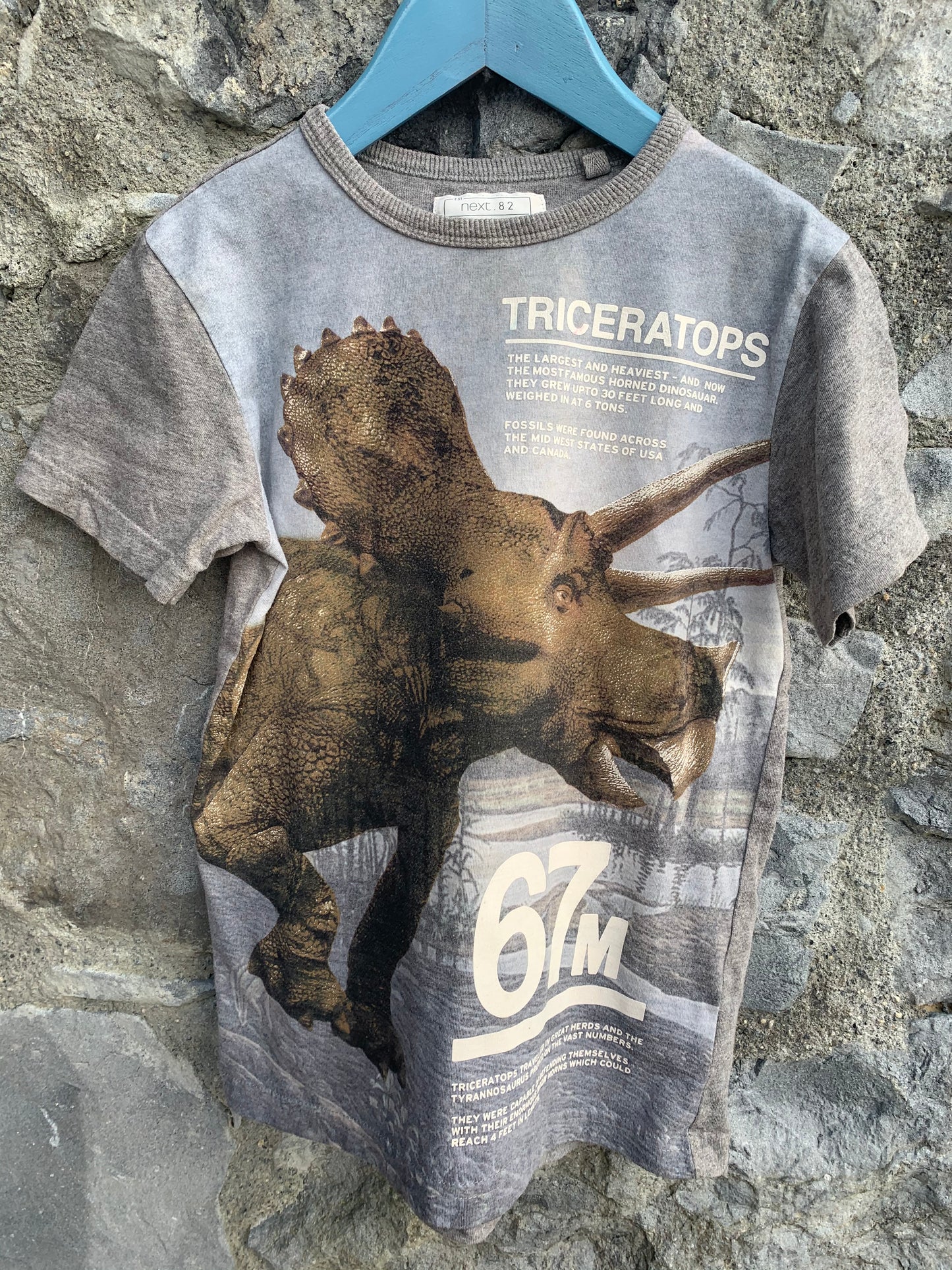Triceratops T-shirt 6y (116cm)
