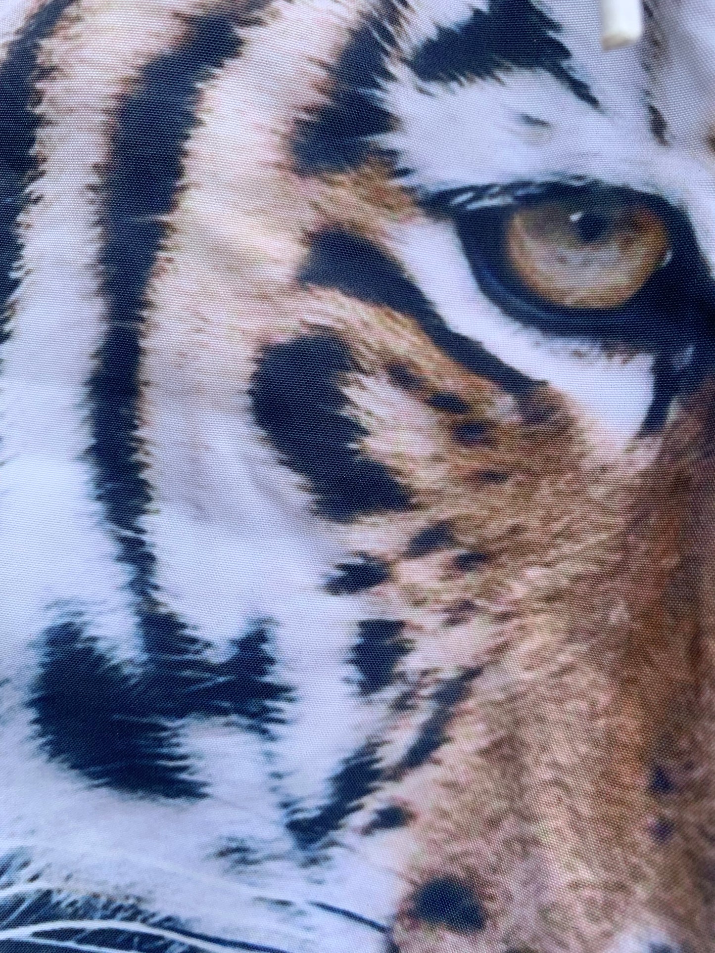 Tiger swim shorts 2-3y (92-98cm)