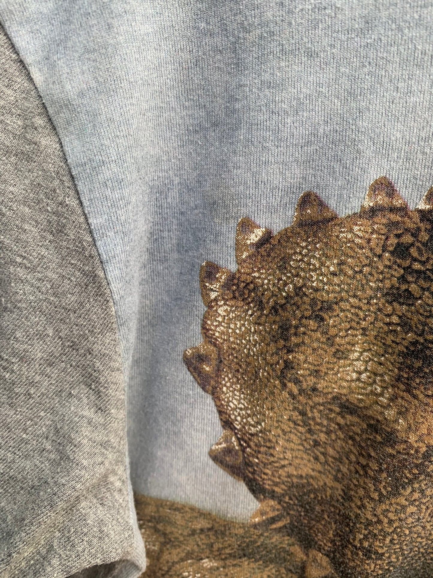 Triceratops T-shirt 6y (116cm)