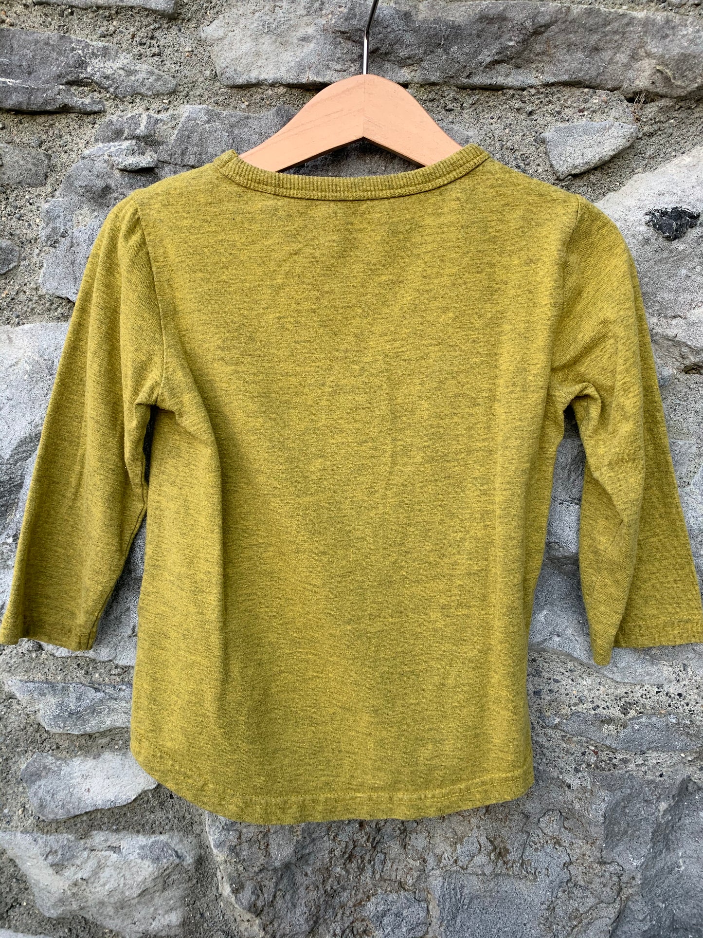 Dinosaur top 12-18m (80-86cm)