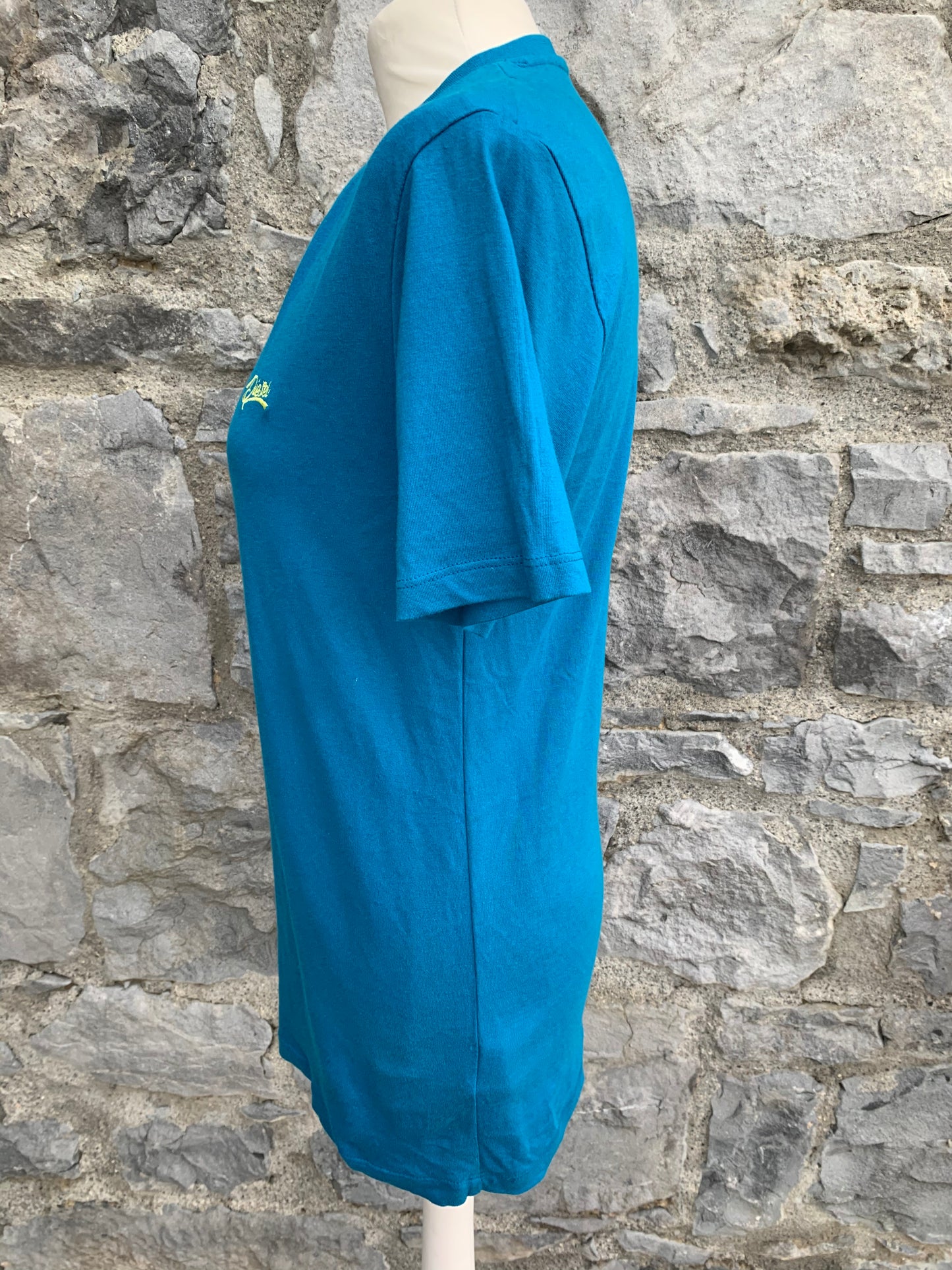 Blue T-shirt Small