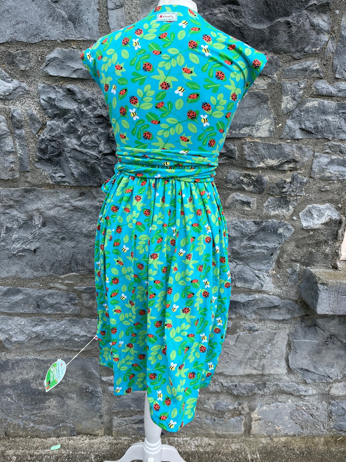 Ladybug dress uk 10-12