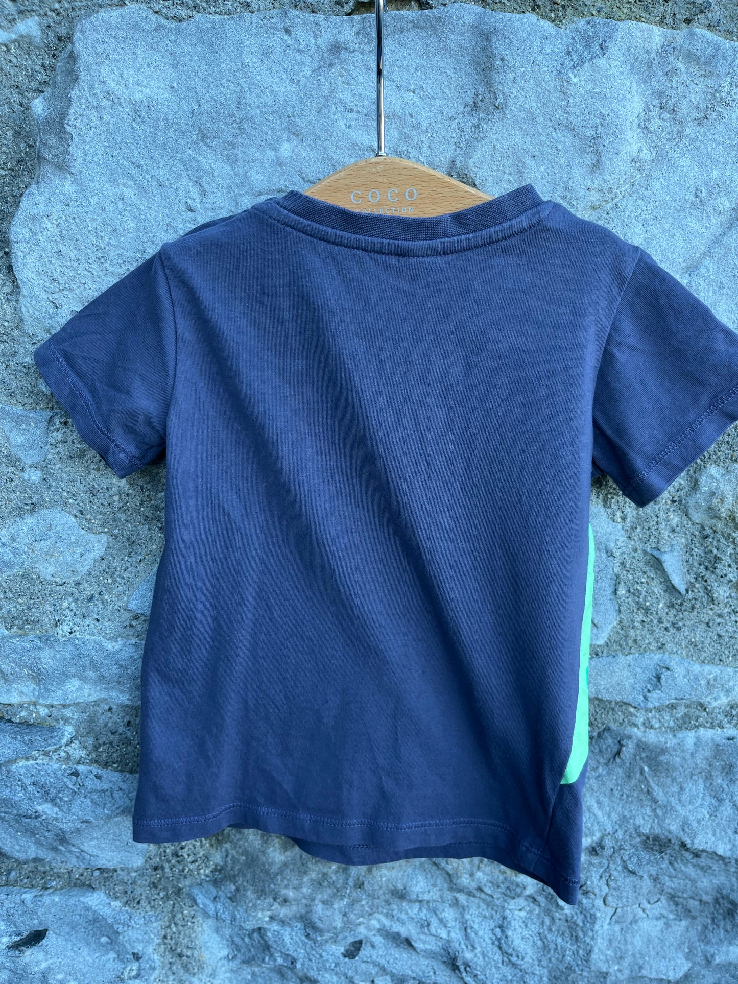 Dino Rocks T-shirt 9-12m (74-80cm)