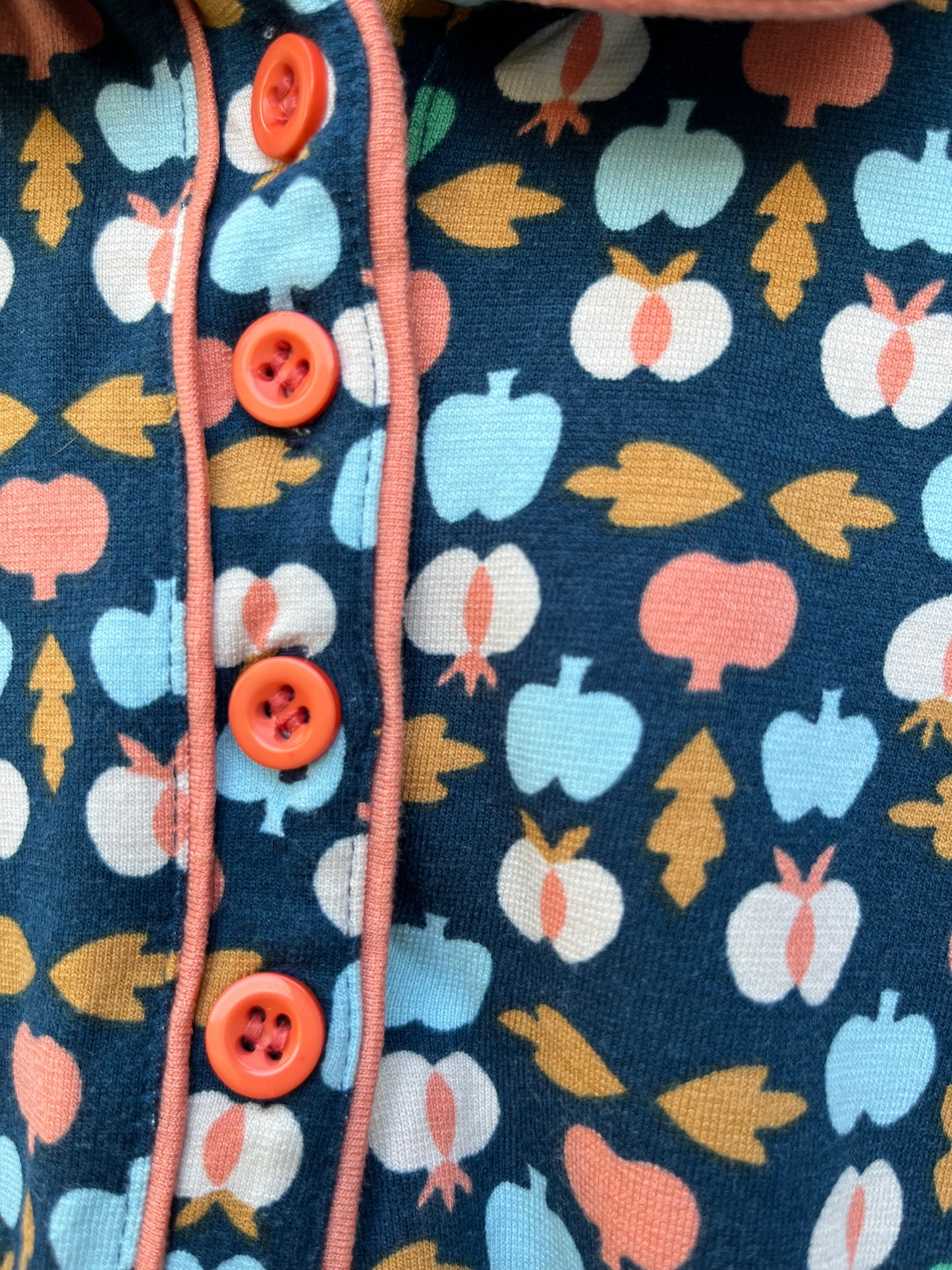 Apples dress 6y (116cm)