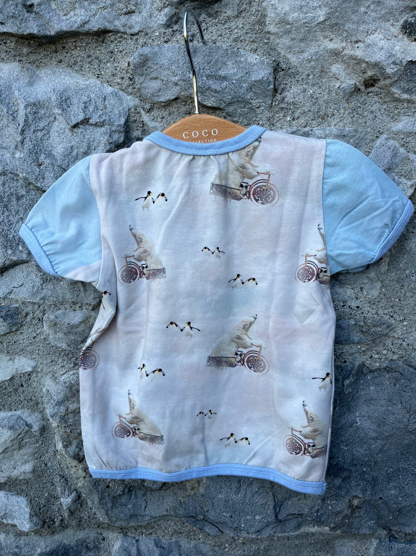 Polar bears top 6m (68cm)