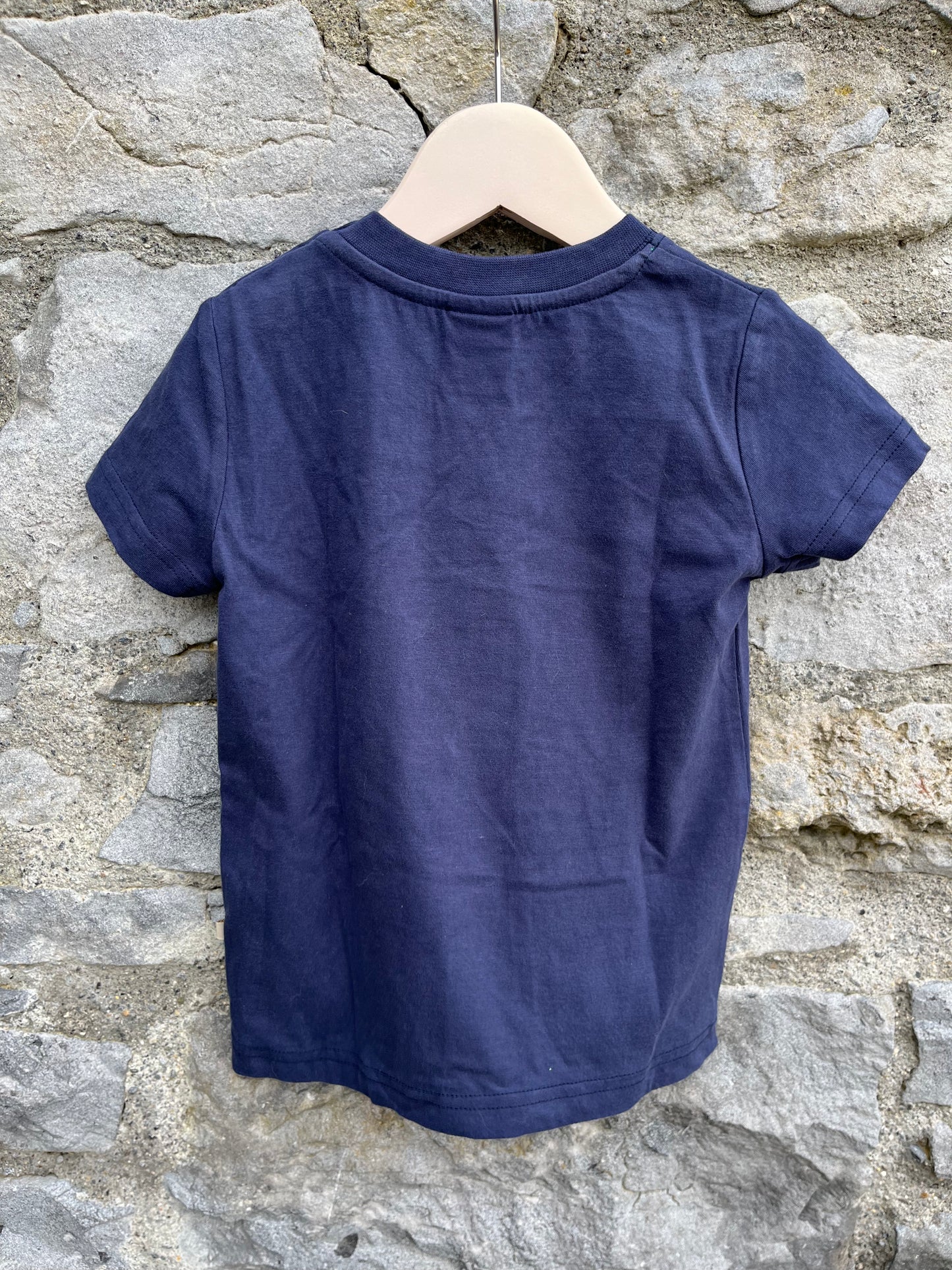 Patchwork T-Rex T-shirt 3-4y (98-104cm)