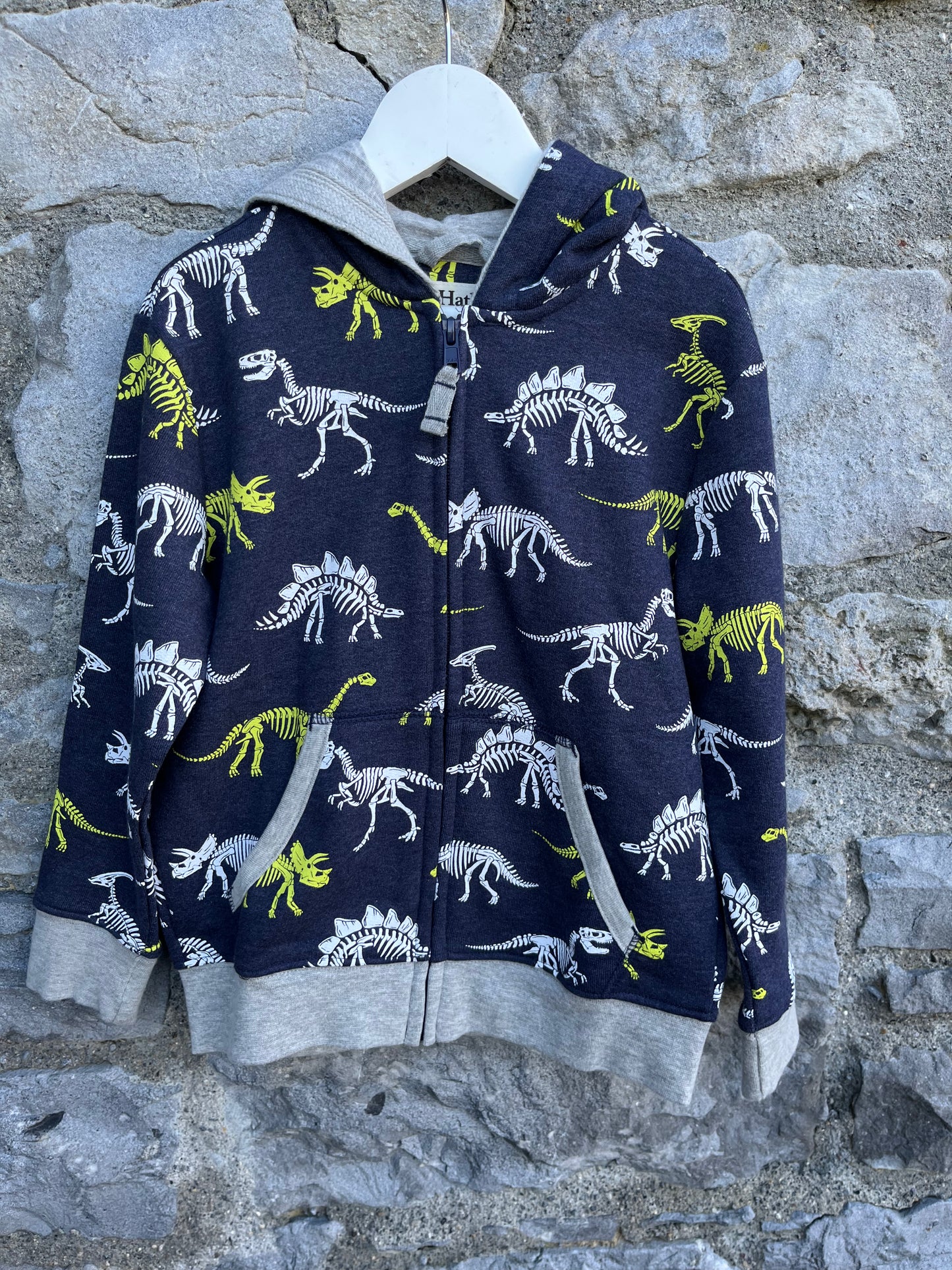 Dinosaurs hoodie 4-5y (104-110cm)