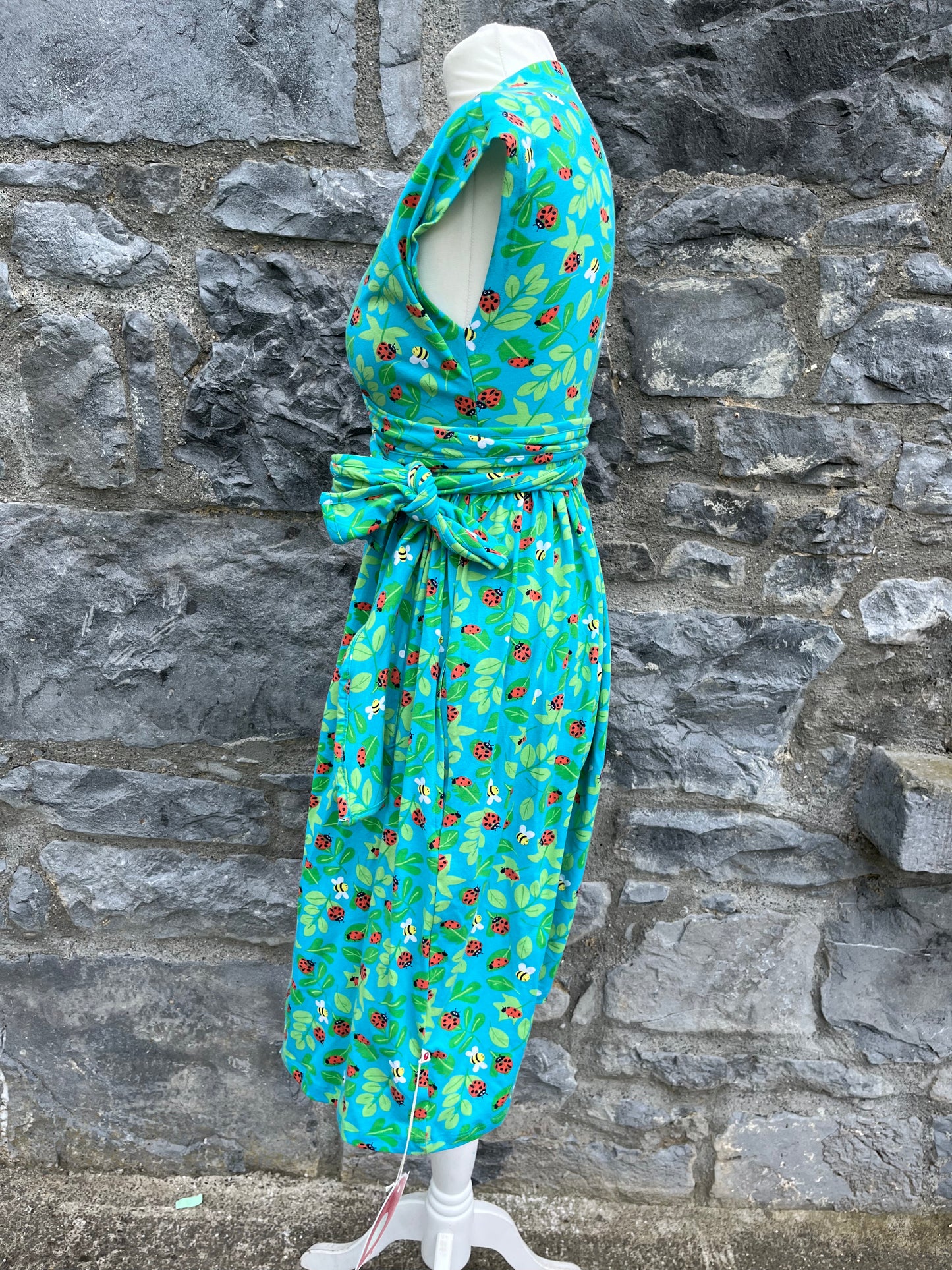 Ladybug dress uk 10-12