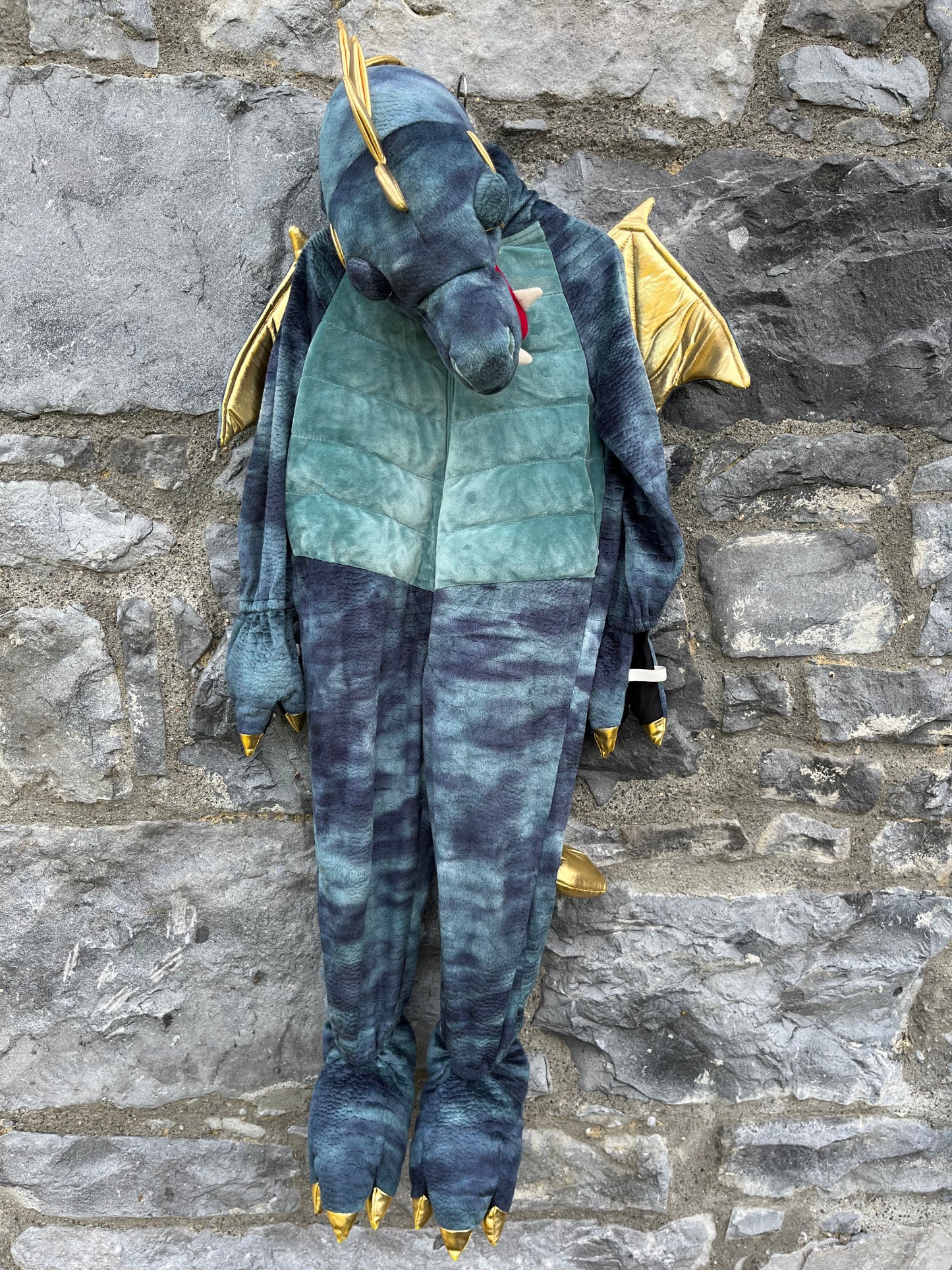 Dinosaur 4-5y (104-110cm)