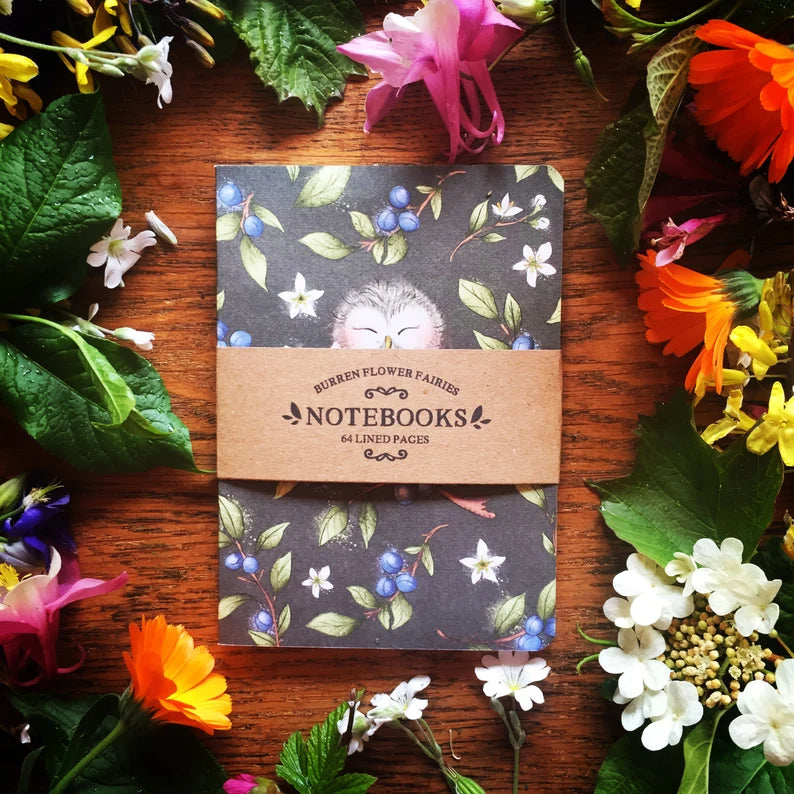Notebooks