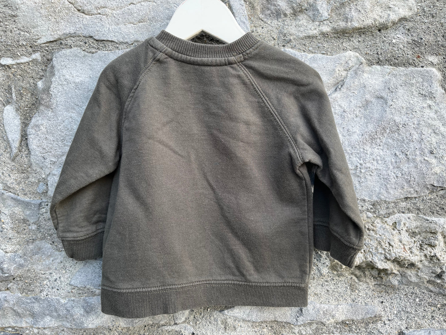 Forest sweatshirt 6-9m (68-74cm)